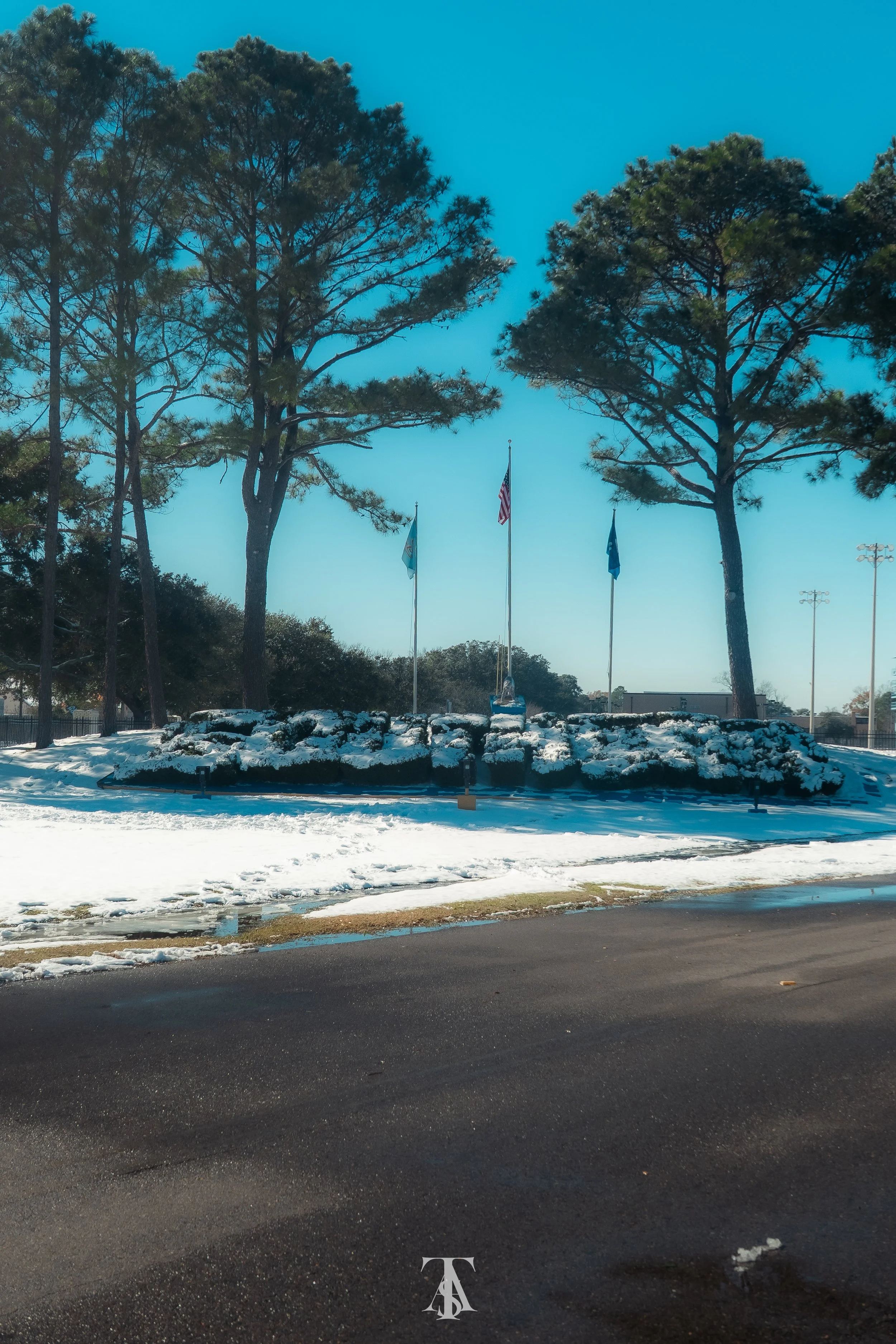 Snow-covered flagpole circle with four flags, surrounded by tall trees and snow, on a bright winter day with clear blue sky.
