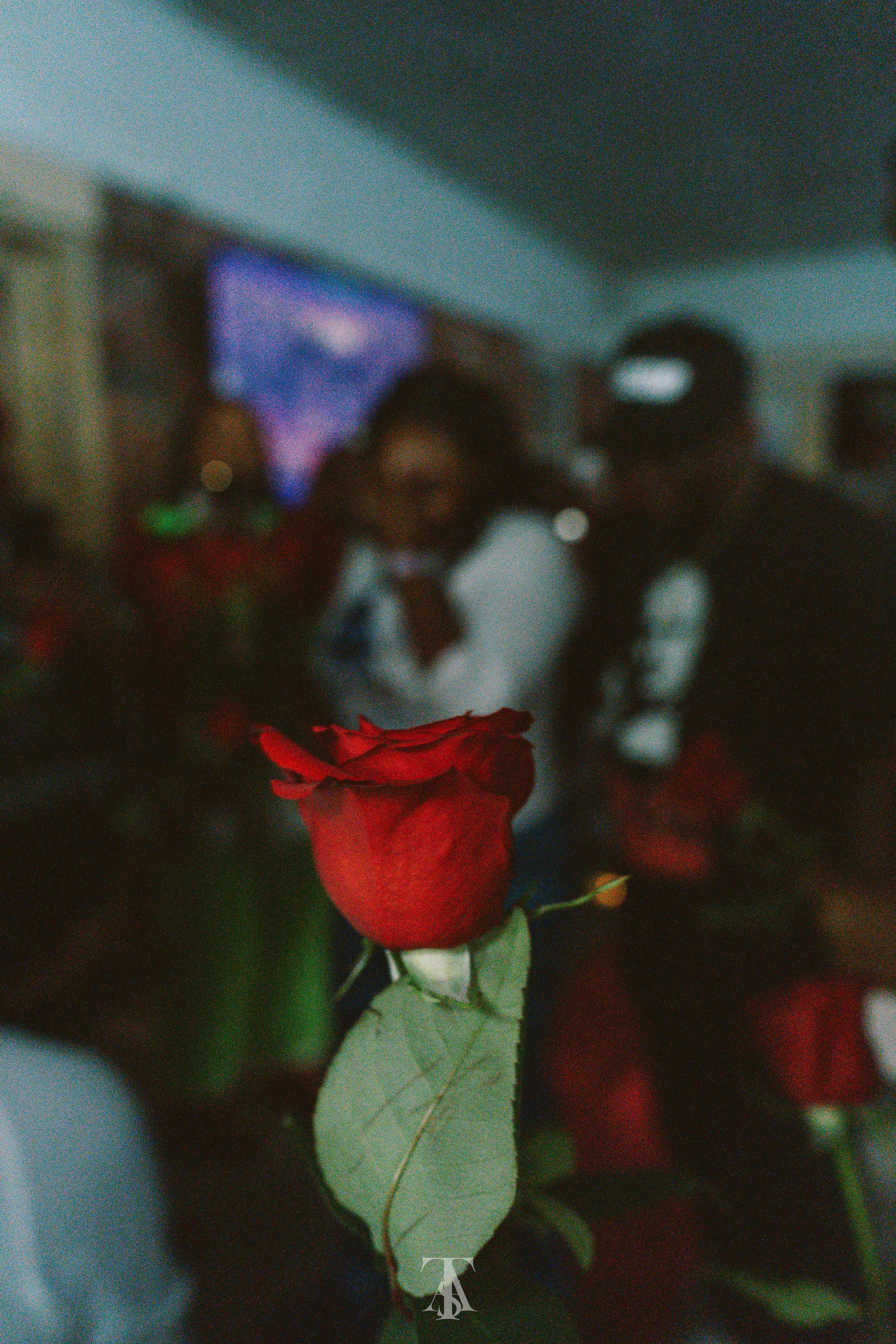 Close-up of a single red rose with green leaves against a blurred darker background.