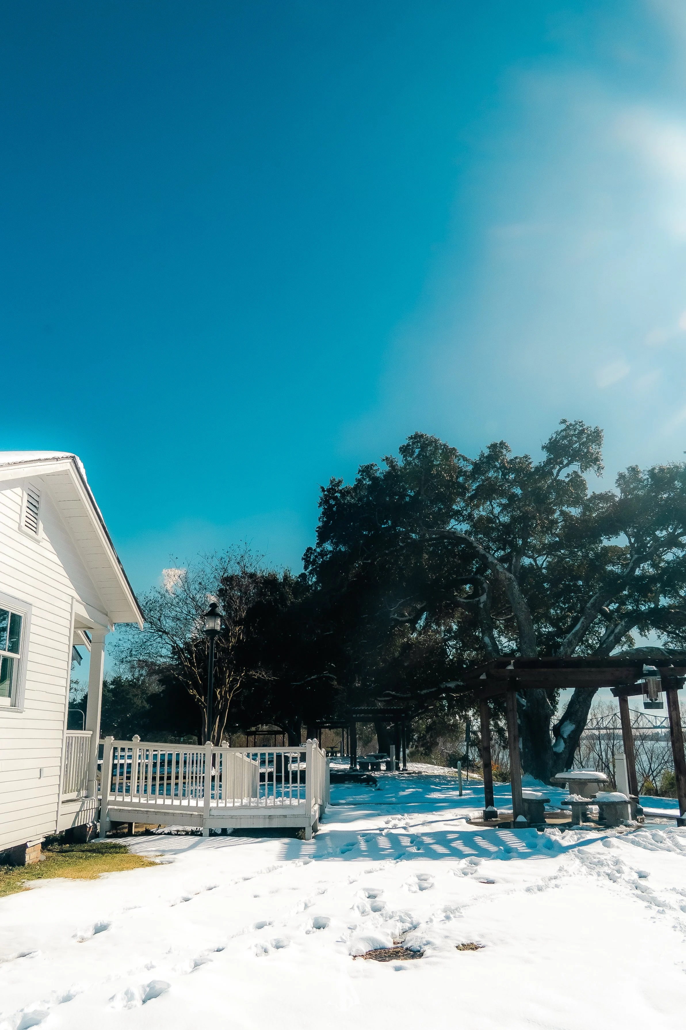 Snow-covered backyard with white house, large tree, picnic table, and blue sky