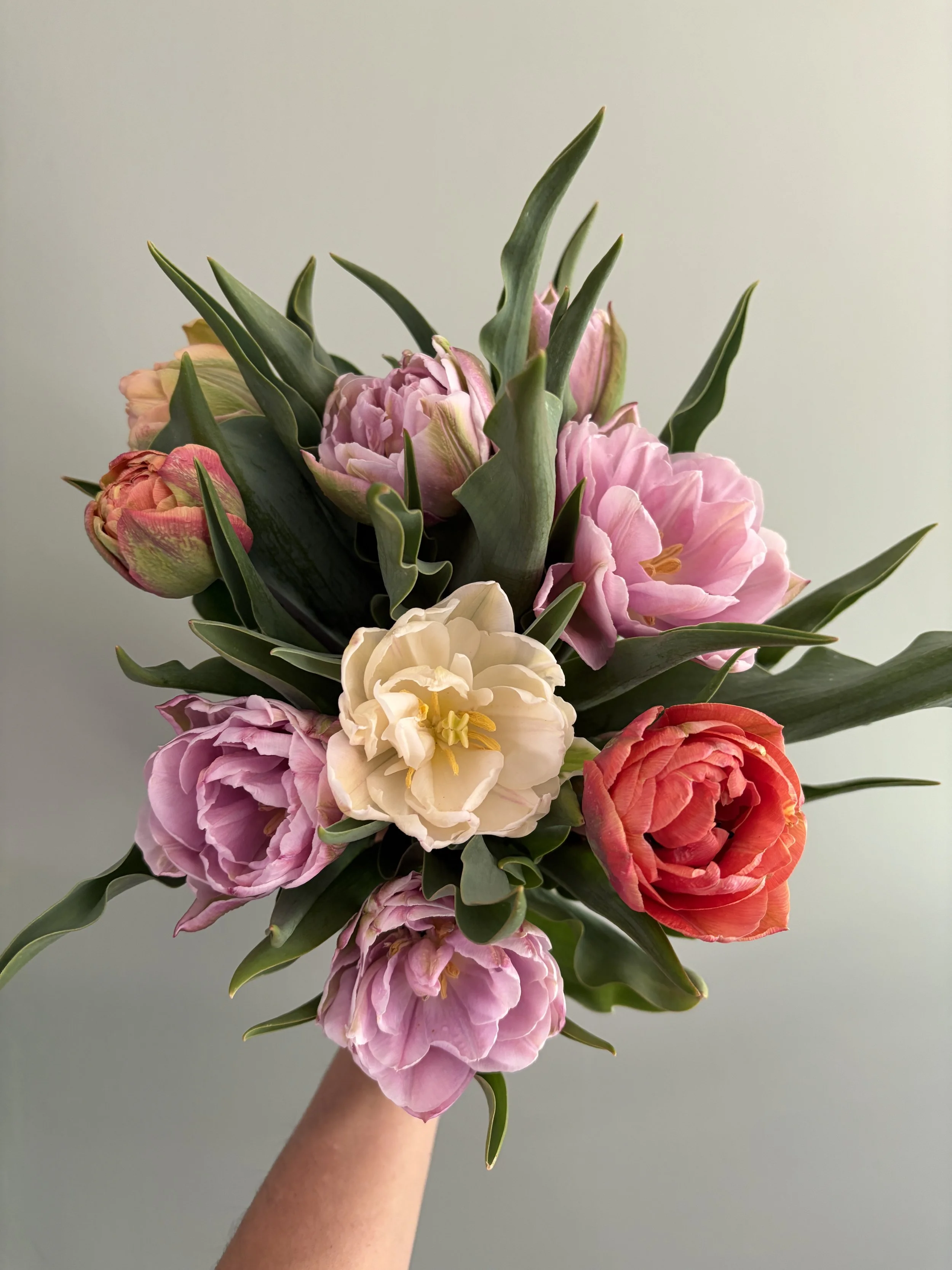Event florals, tulips, cut flower farm.
