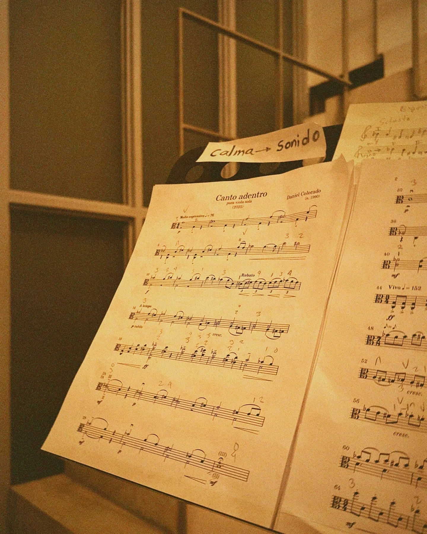 Valeria Espinosa Gal&aacute;n estrenar&aacute; la versi&oacute;n para viola sola de &quot;Canto adentro&quot;.

La propuesta del concierto &ldquo;Cuerdas y Sonoridades Electroac&uacute;sticas&rdquo; es abordar la obra de int&eacute;rpretes/compositor