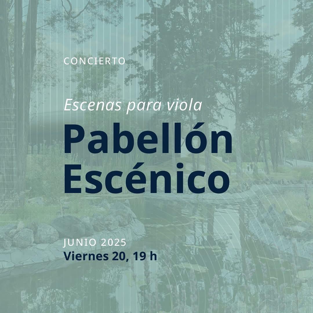 Escenas para viola