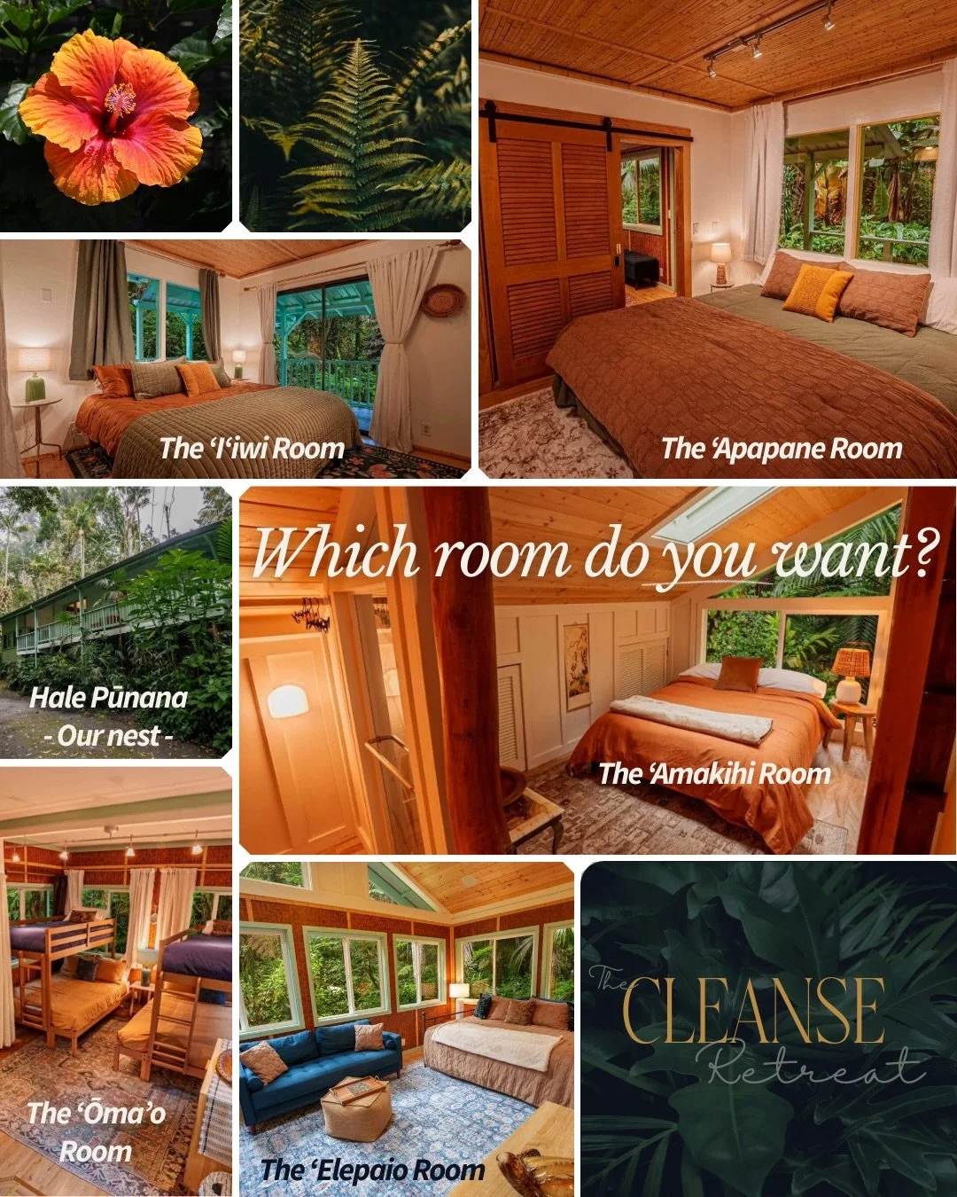 Choose your sanctuary for the CLEANSE retreat 🏡

Each cozy room has a fantastic forest view

This is your home away from home for a total reset for body mind &amp; soul May 1-4 🌿✨

Early bird pricing ends Friday 2/27 so sign up asap to be sure you 