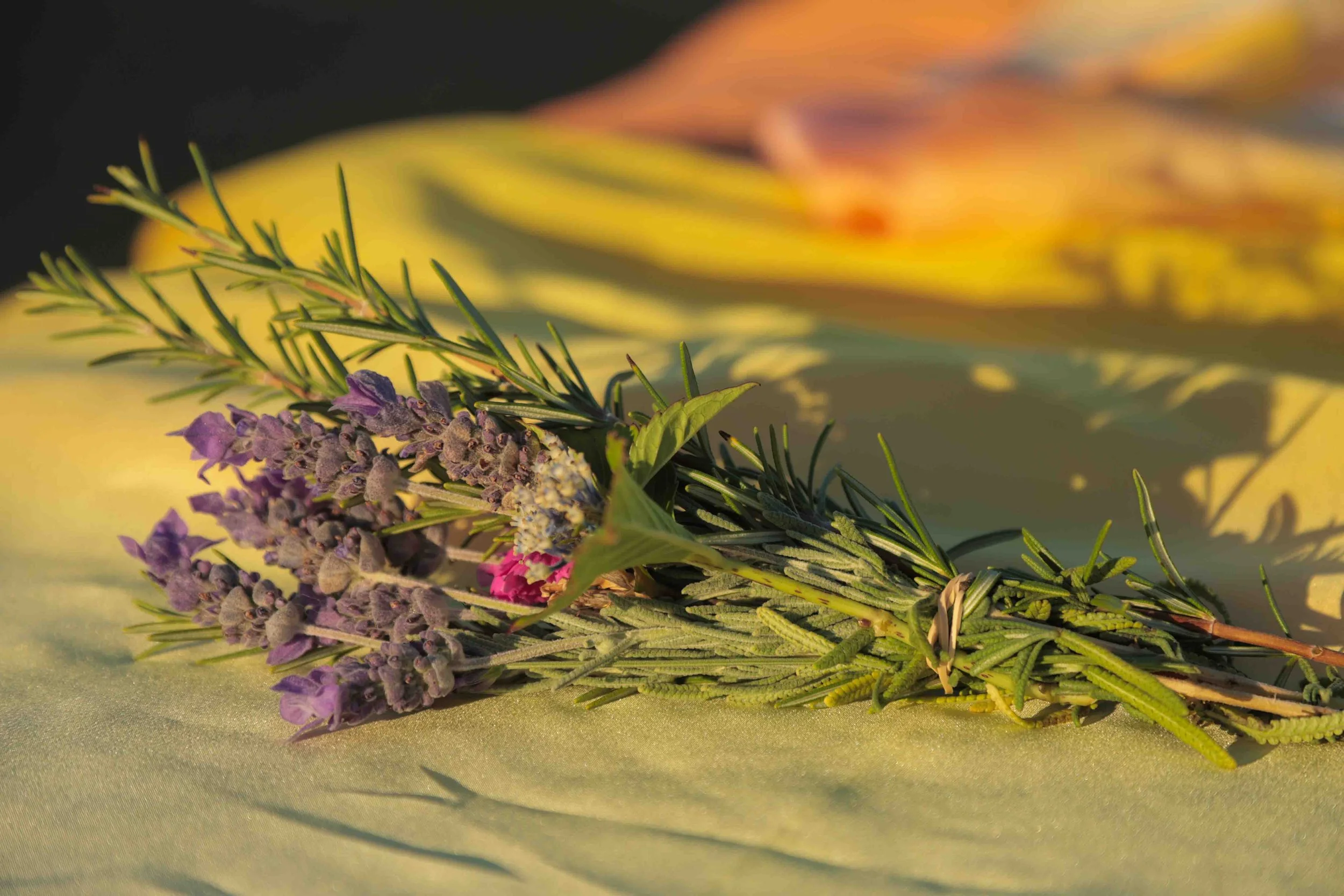 A small bouquet of lavender and rosemary branches tied together with a natural twine, lying on a yellow surface.