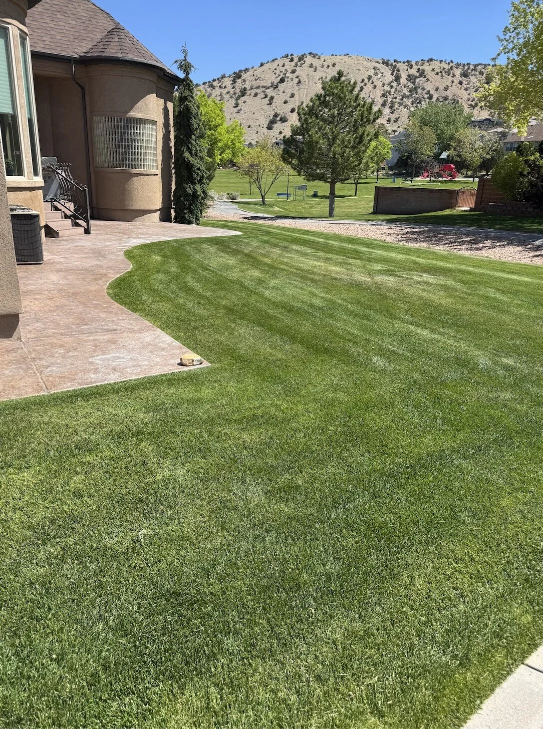 LAWN 2.jpg