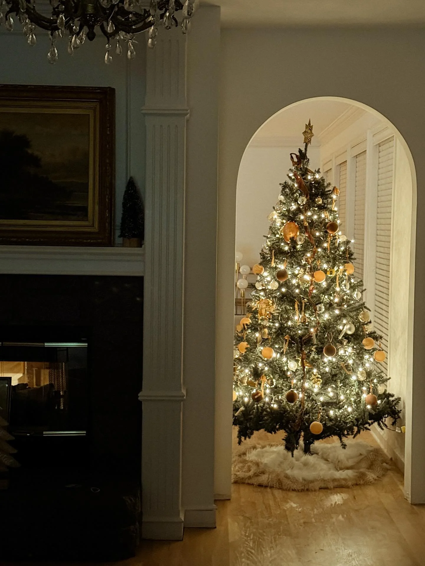 The people who walked in darkness
  have seen a great light;
 those who dwelt in a land of deep darkness,
 on them has light shone. - Isaiah 9:2

The true light, which gives light to everyone, was coming into the world. He was in the world, and the w