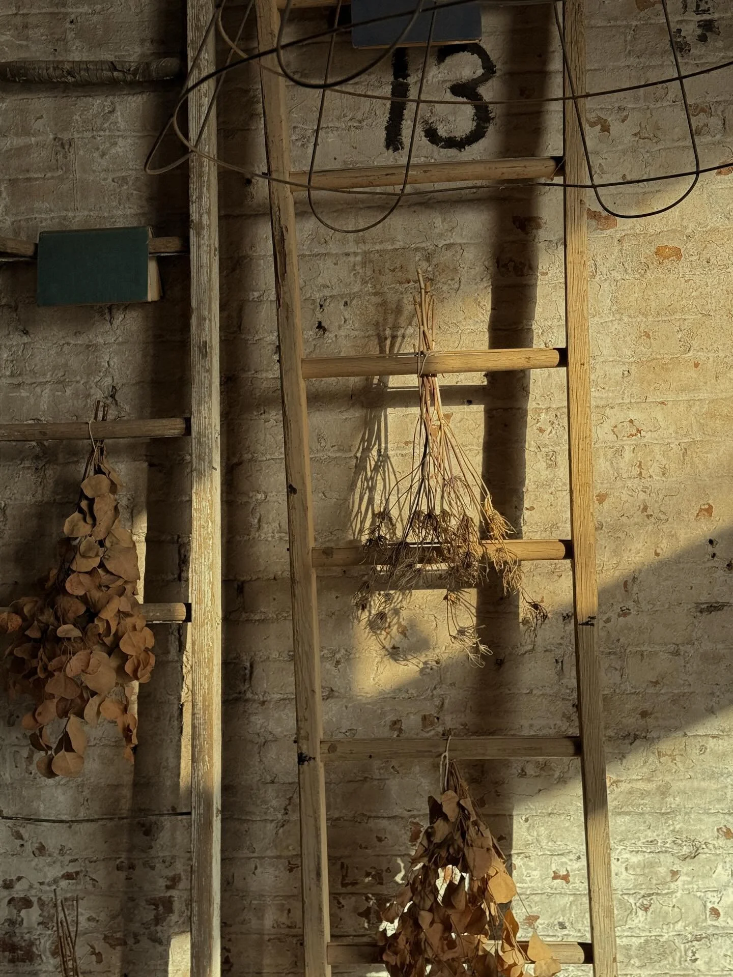 An amazing February show. We love and appreciate y&rsquo;all for making it so great. Our eyes are set toward March 6th-8th when we will celebrate 15 years of Vintage Revival at Bella Patina!

We hope to see you then. ✌️