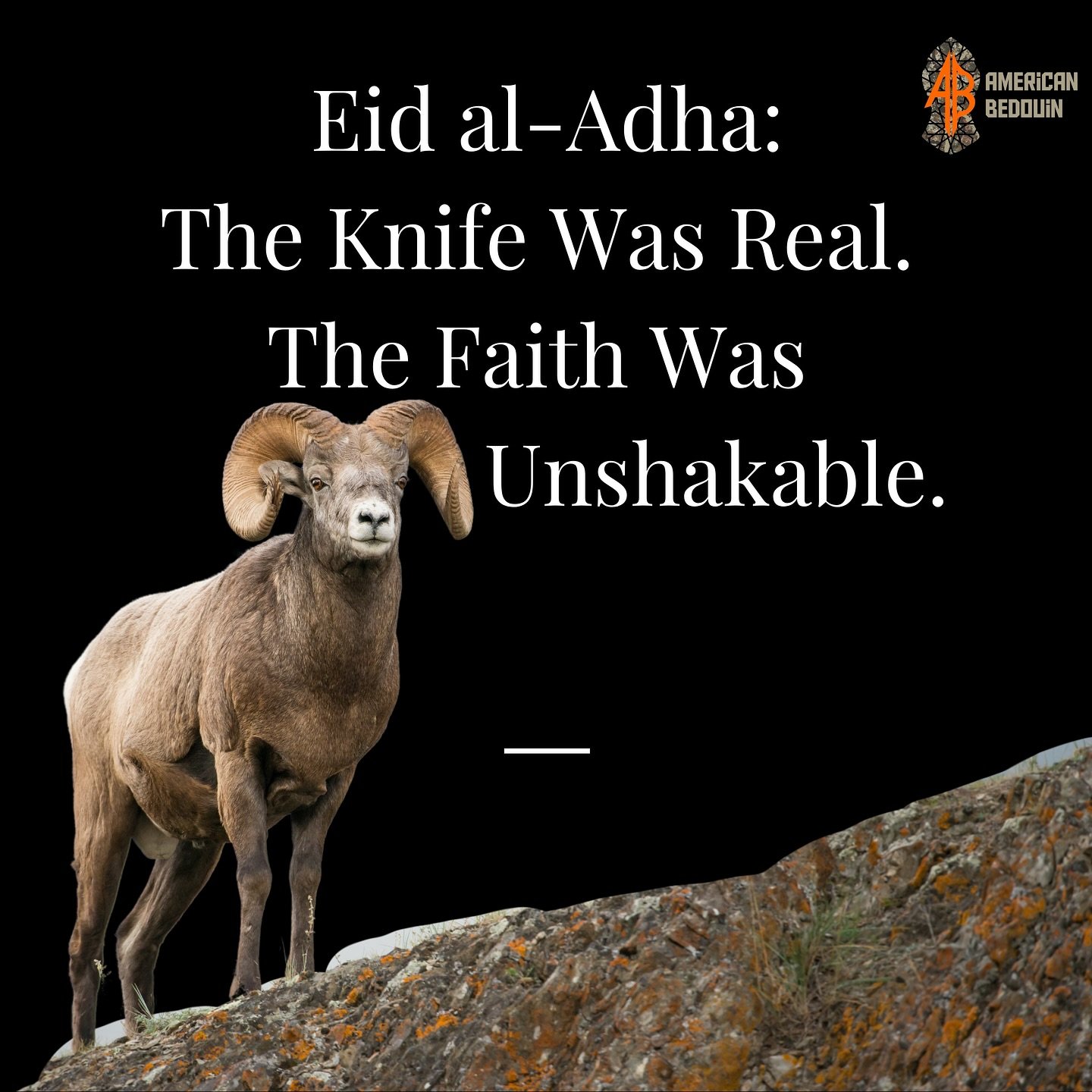 Eid Mubarak from American Bedouin.
Trained by the Wild. Guided by the Sunnah.

#EidAlAdha #Qurban #AmericanBedouin #FitrahRevived #SunnahStrong