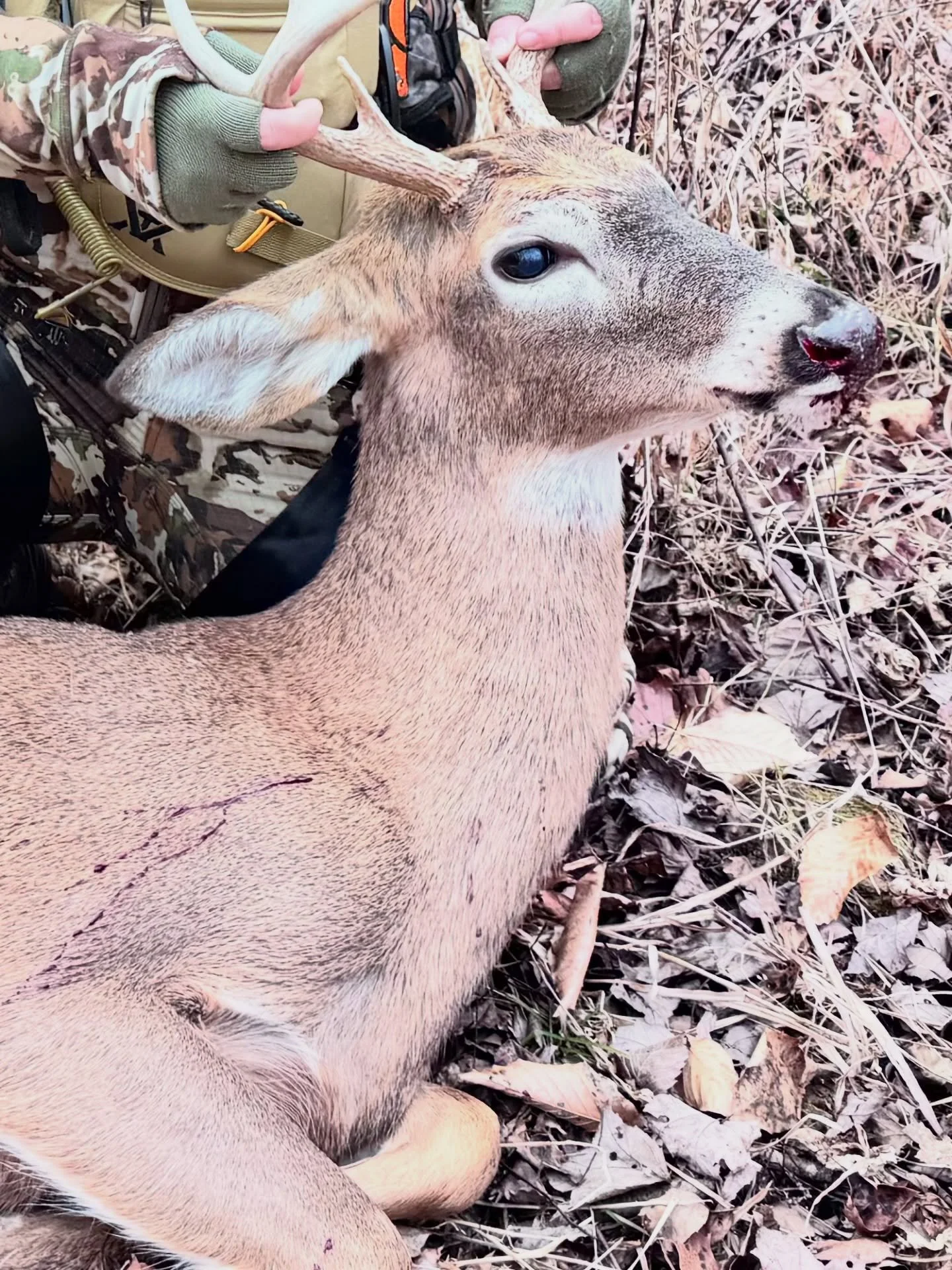 From the moment the trigger is pulled to the final twist of sausage on the table, this is what field to fork really means.

This deer wasn&rsquo;t just harvested, it was honored.
Tracked with patience.
Taken cleanly.
Handled with care.
Processed by h