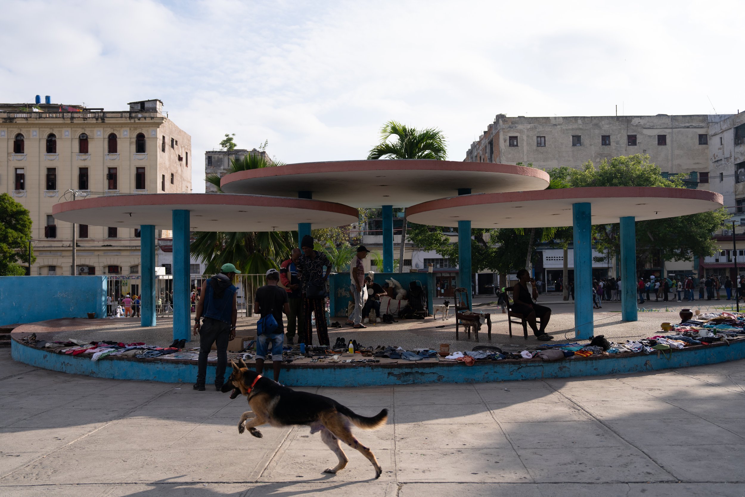 Cuba_exports-137.jpg