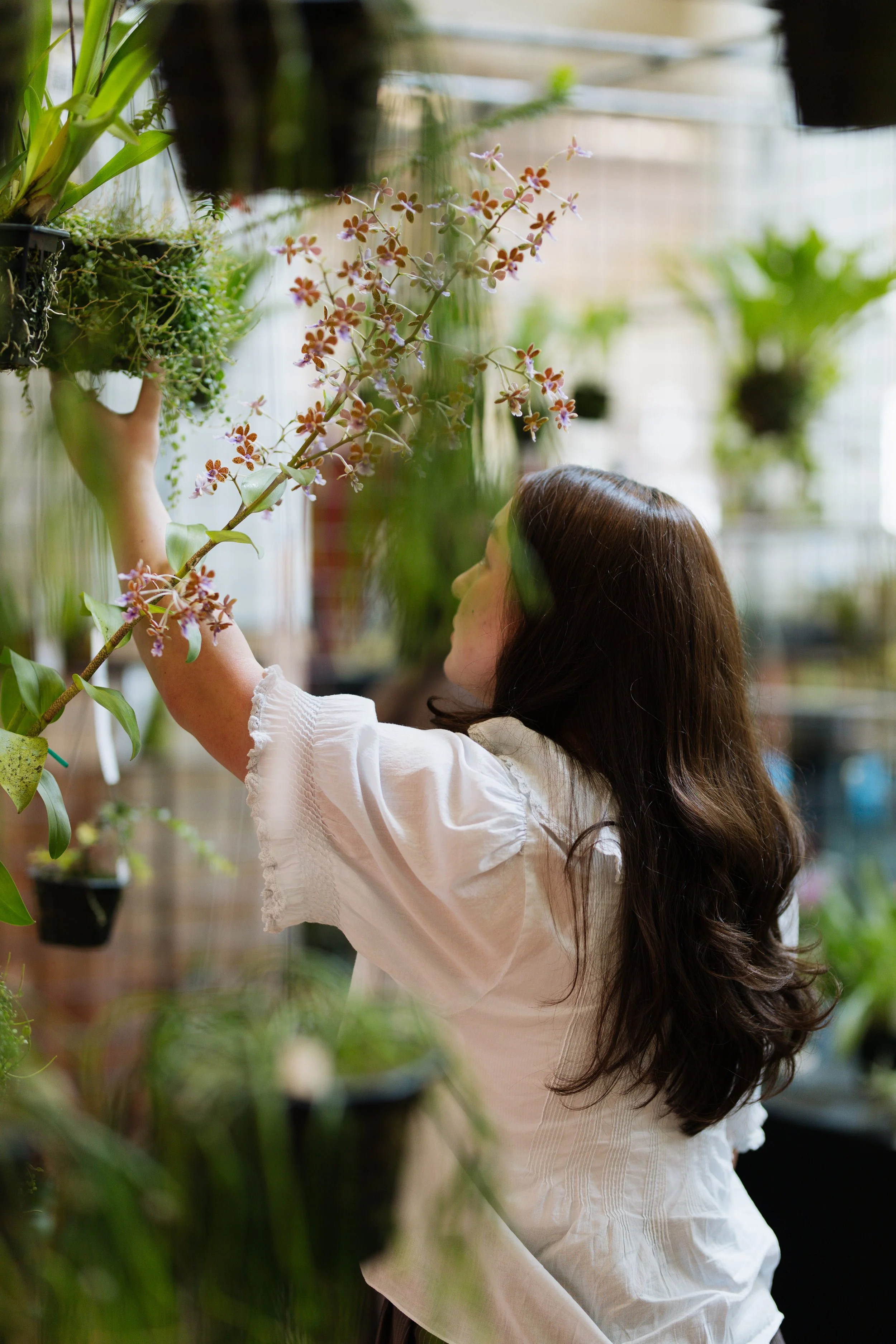 Southern California Spring Garden Show Returns to South Coast Plaza for 36th Annual Event