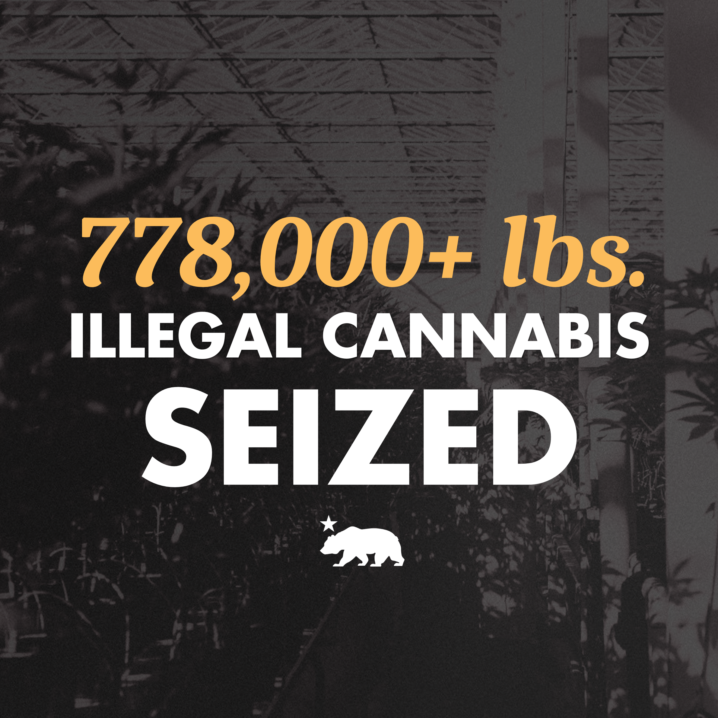 california-illegal-cannabis-seized-enforcement-graphic.webp