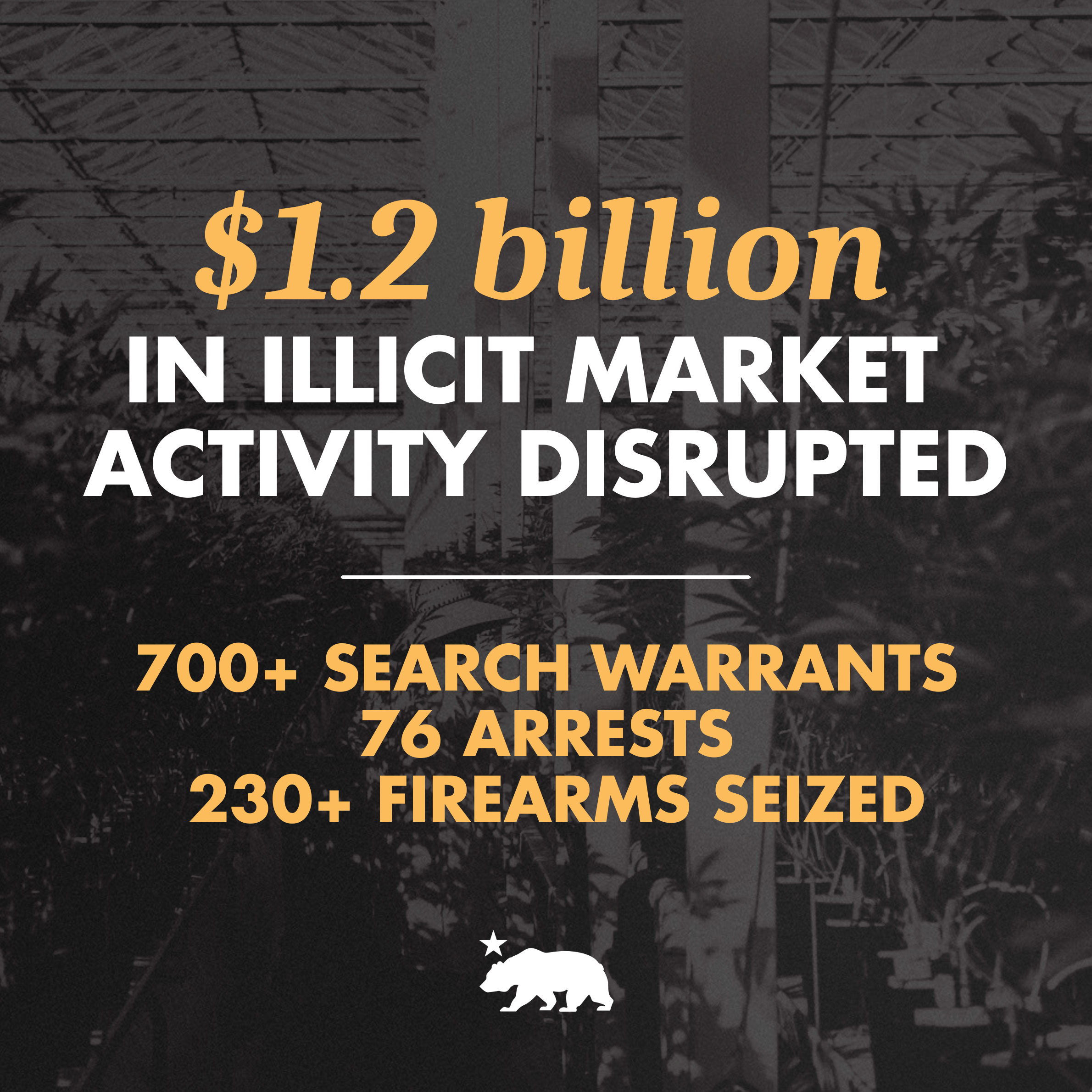 california-cannabis-illicit-market-disruption-stats-graphic.webp