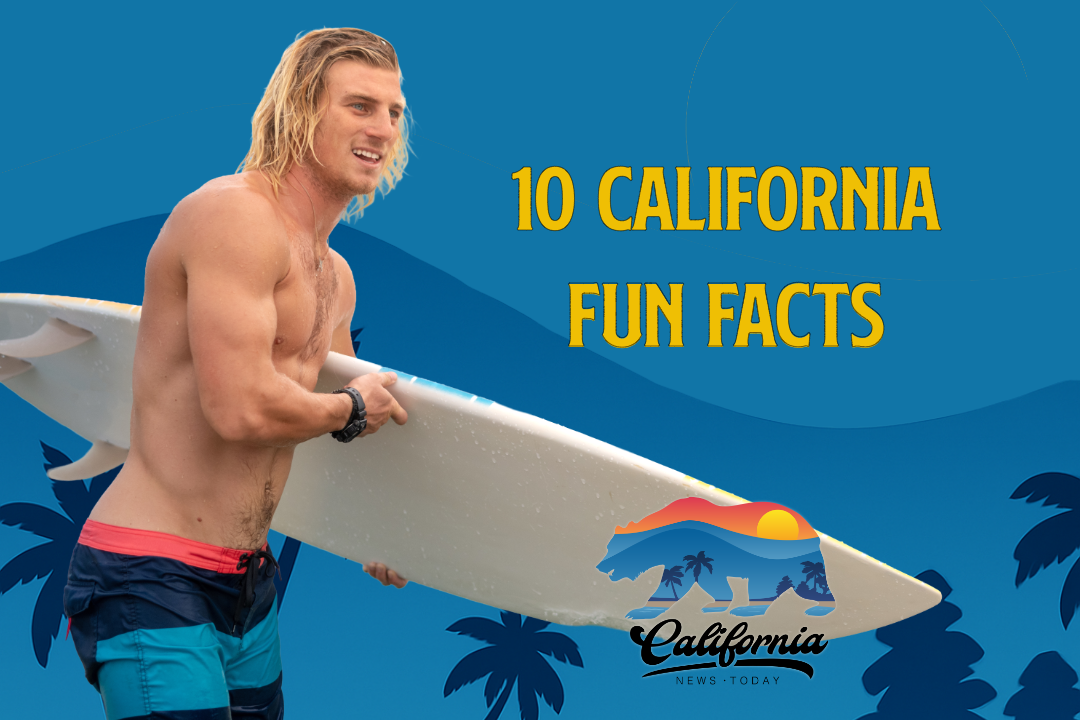 10 Fun Facts About California You Probably Didn't Know
