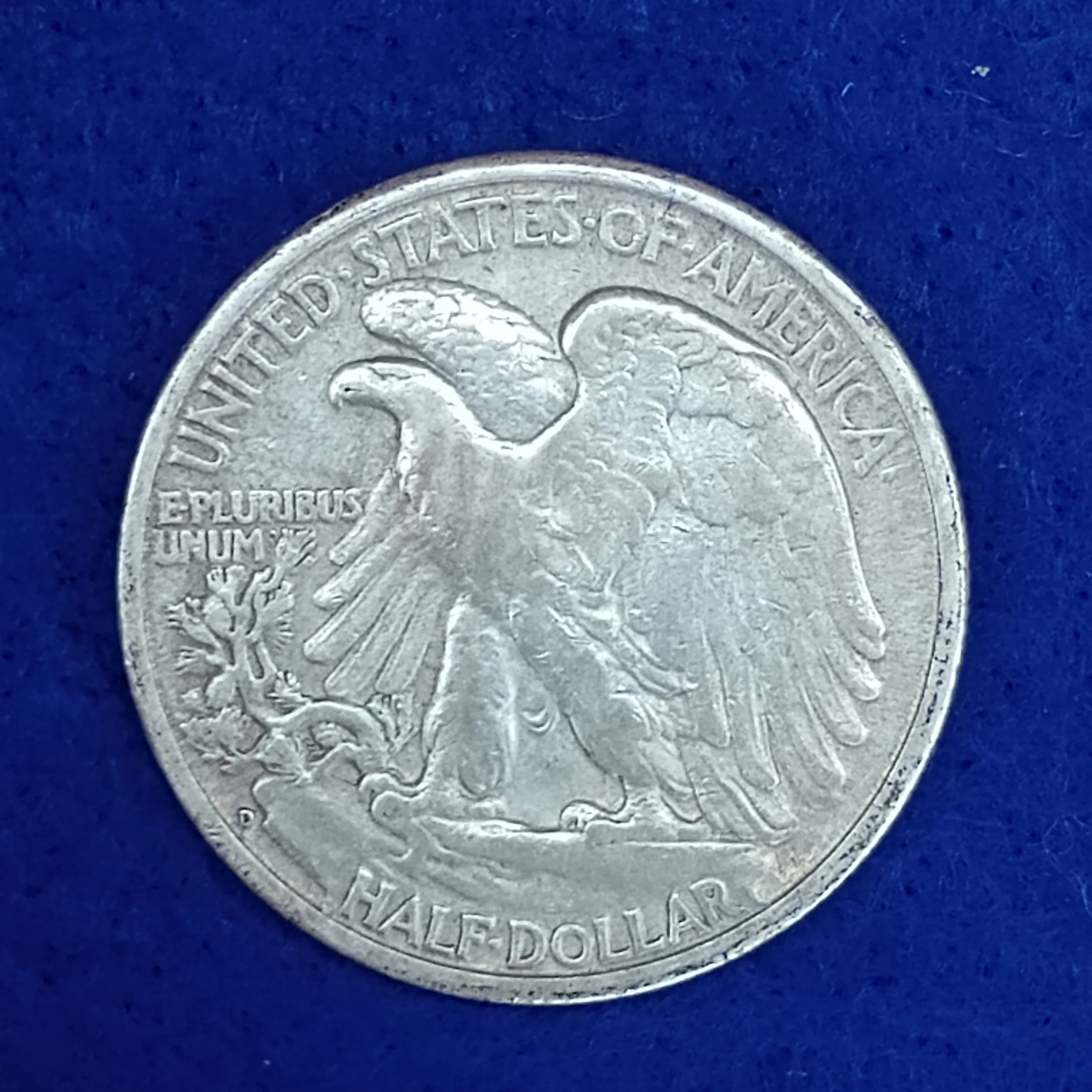 1000011671.jpg