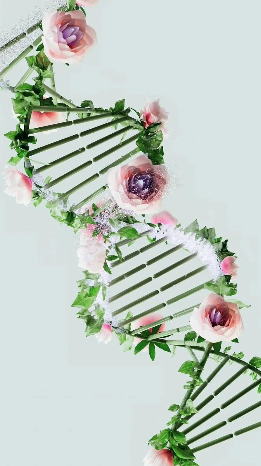 Basic DNA
