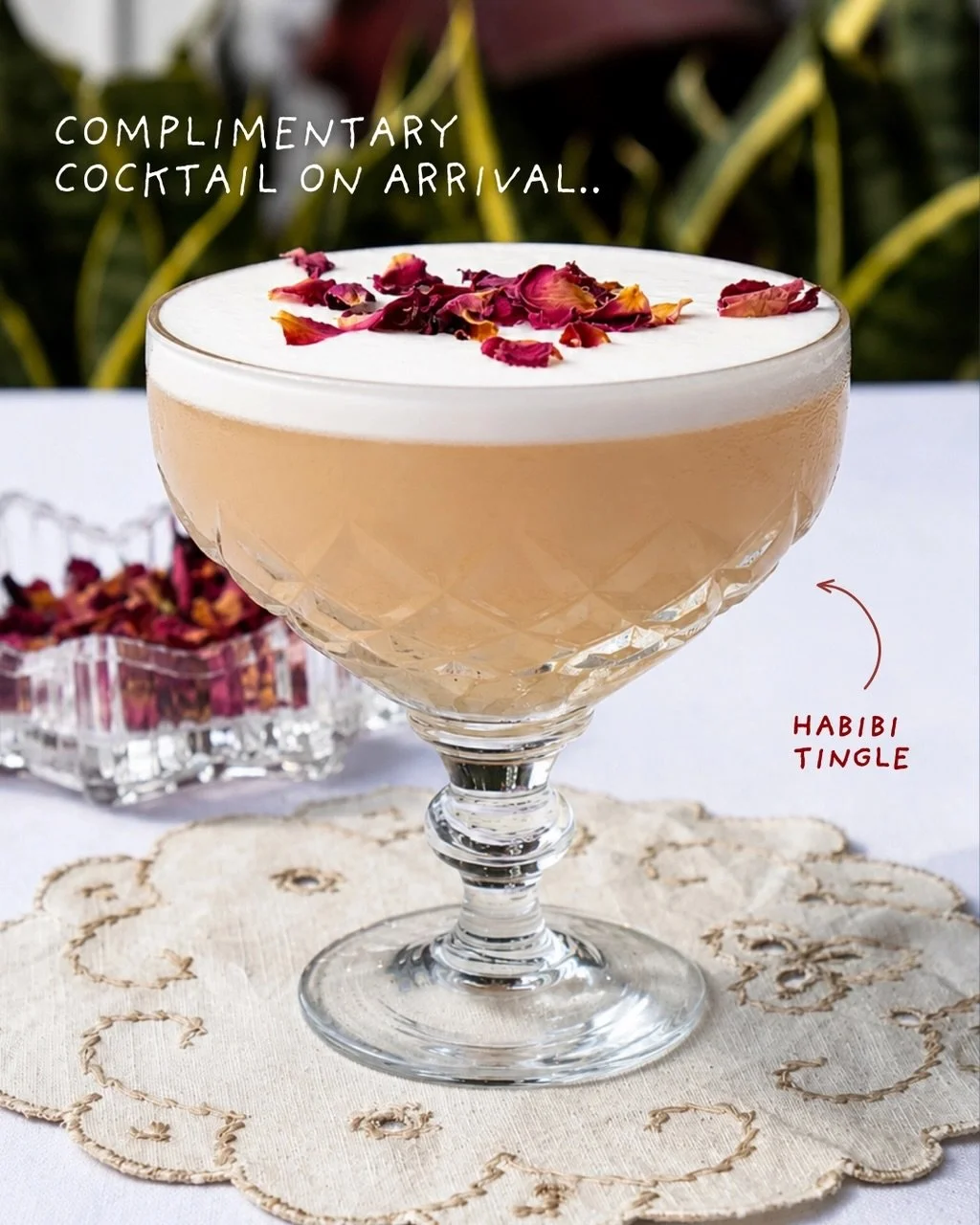 Your Thursday night ritual starts here 🍸✨

A complimentary cocktail on arrival with any main purchased at Se&ntilde;or Habibis - choose from the Rondo Spritz, Habibis Tingle or Lions Side.

Candles glowing, shared plates everywhere, cocktails flowin