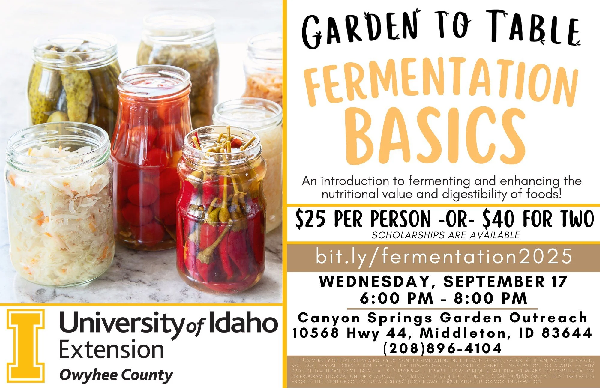 Garden to Table - Fermentation Basics