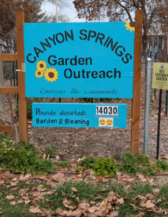 Winter Dreams, Garden Gratitude &amp; Spring Classes Ahead