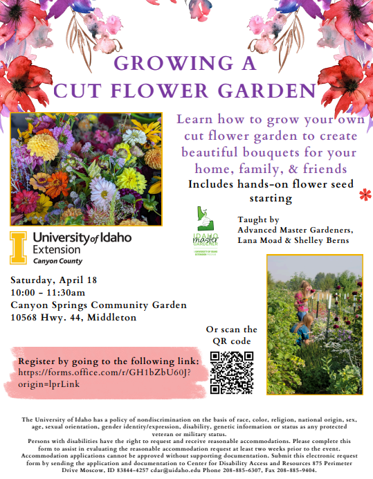 Growing a Cut Flower Garden