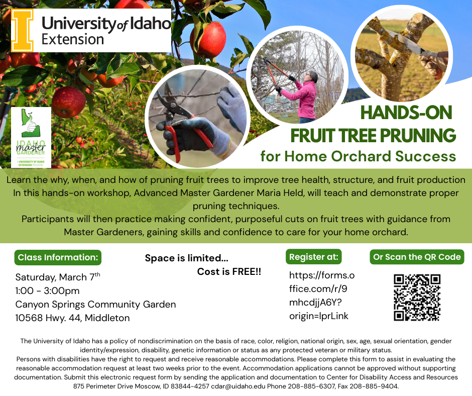 Hands on Fruit Tree Pruning for Home Orchard Success