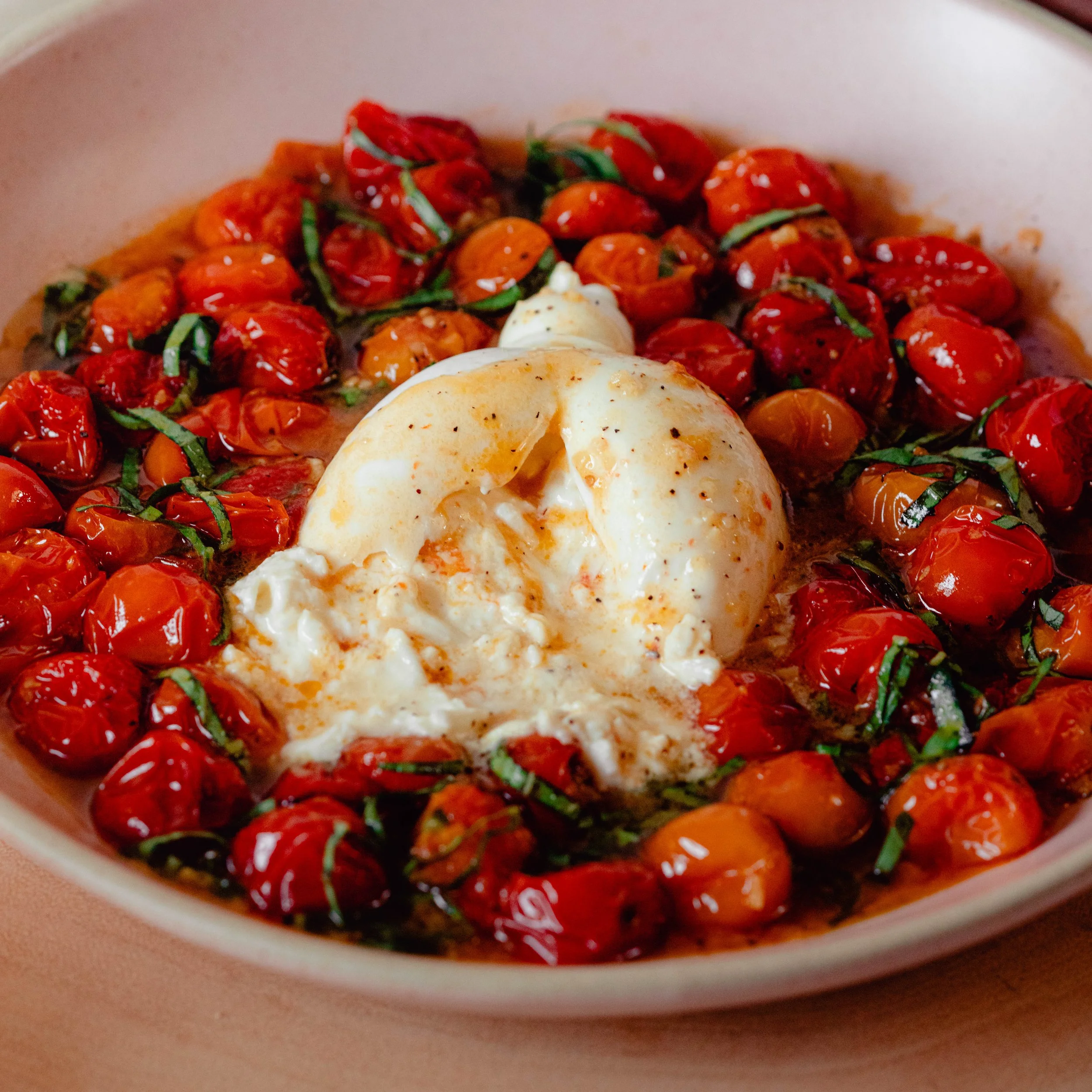 TSO_Roasted Tomato Burrata_1x1 (2).jpg