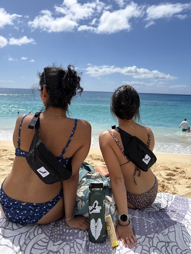 Classic Series: Hip Bag