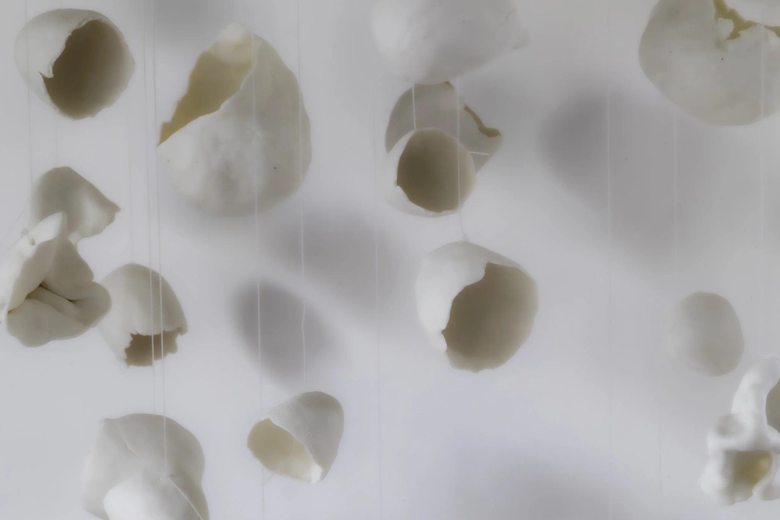 7E2A1691-2.jpg