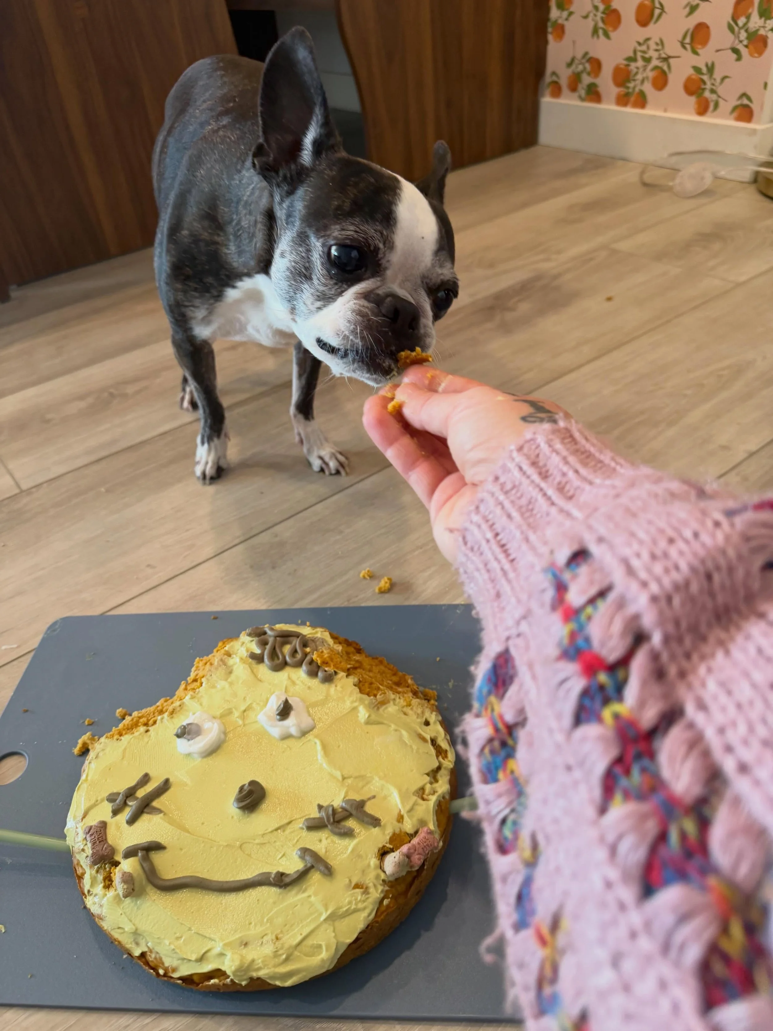 Rubenstein is 9 🎈 (ft. the Temu Frankenstein cake I made 😂)
.
Ruby turned 9 a few weeks ago and I missed it with my book writing so we are celebrating two birthdays this weekend (Coco&rsquo;s is tomorrow) 🥹
.
Happiest of birthdays to my heart in 1