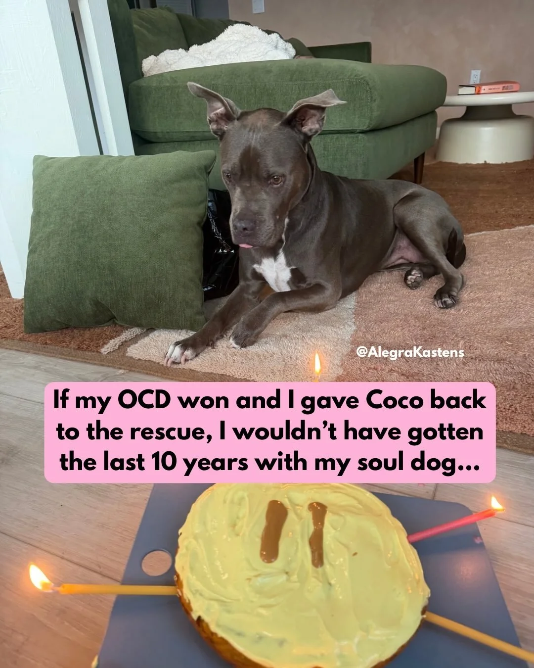 Coco Chanel is 11 and I simply cannot imagine the last 10 years without her 😭 OCD almost robbed me of my soul dog and first love of my life. Swipe for more info on B&euro;stiaIity OCD &mdash;>
.
Miss Coco, thank you for waiting for me (ten years 