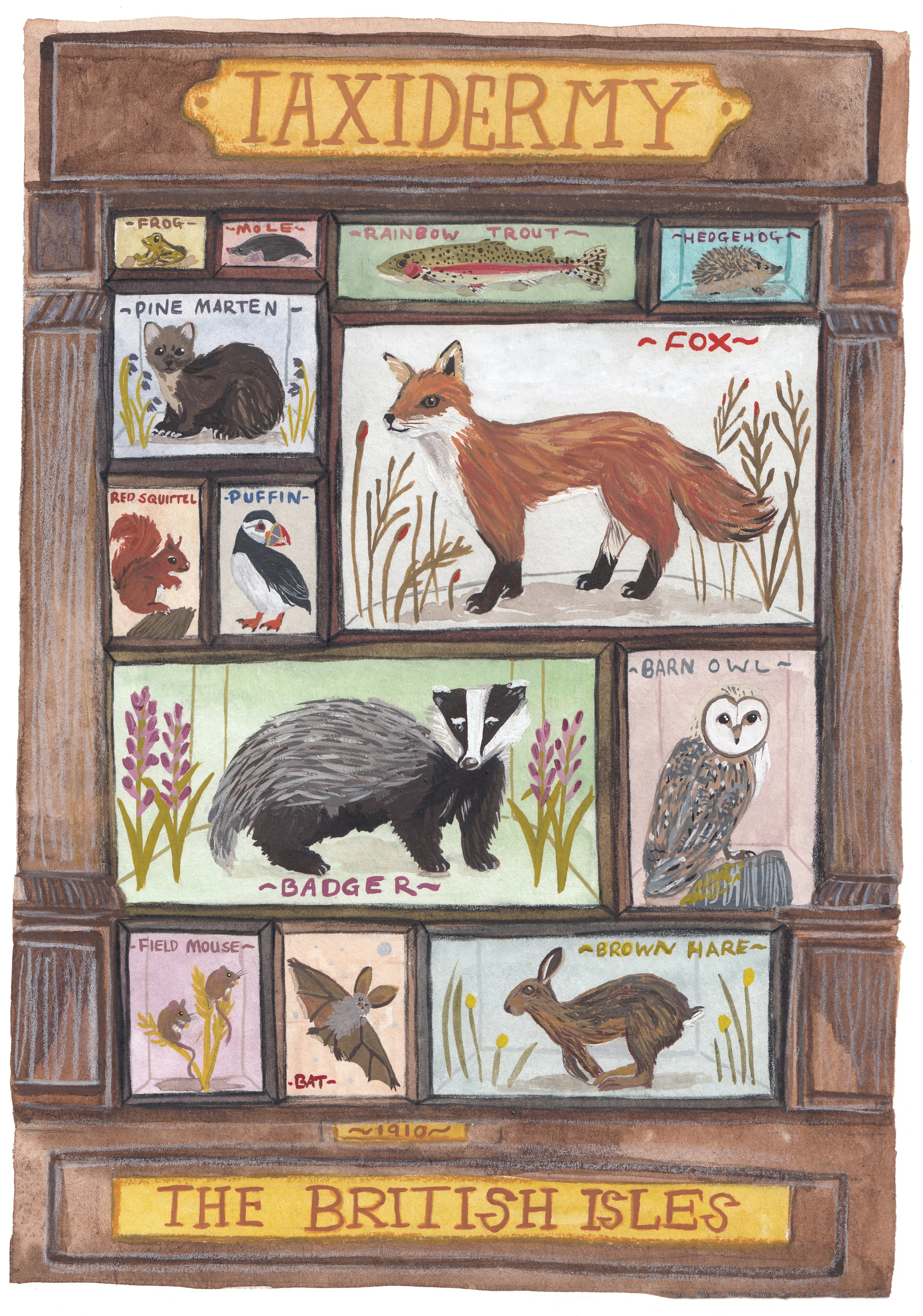 ARB826~1 taxidermiy of the britsh iles Large .jpg