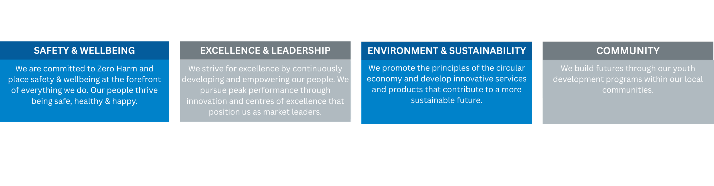 Corporate values chart with four categories: Safety & Wellbeing, Excellence & Leadership, Environment & Sustainability, and Community, each with a descriptive statement.