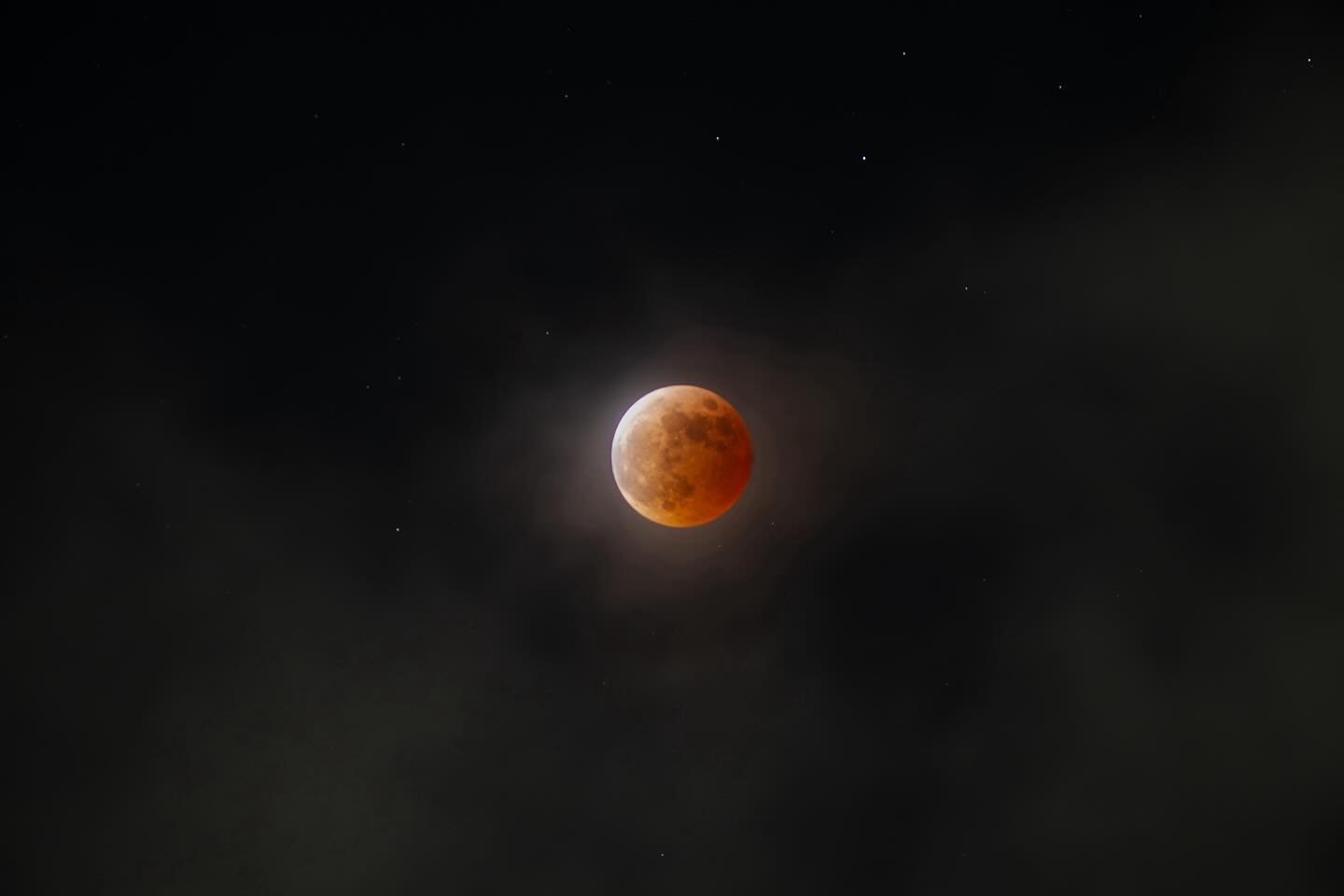 Was looking for werewolves but unfortunately didn&rsquo;t see any