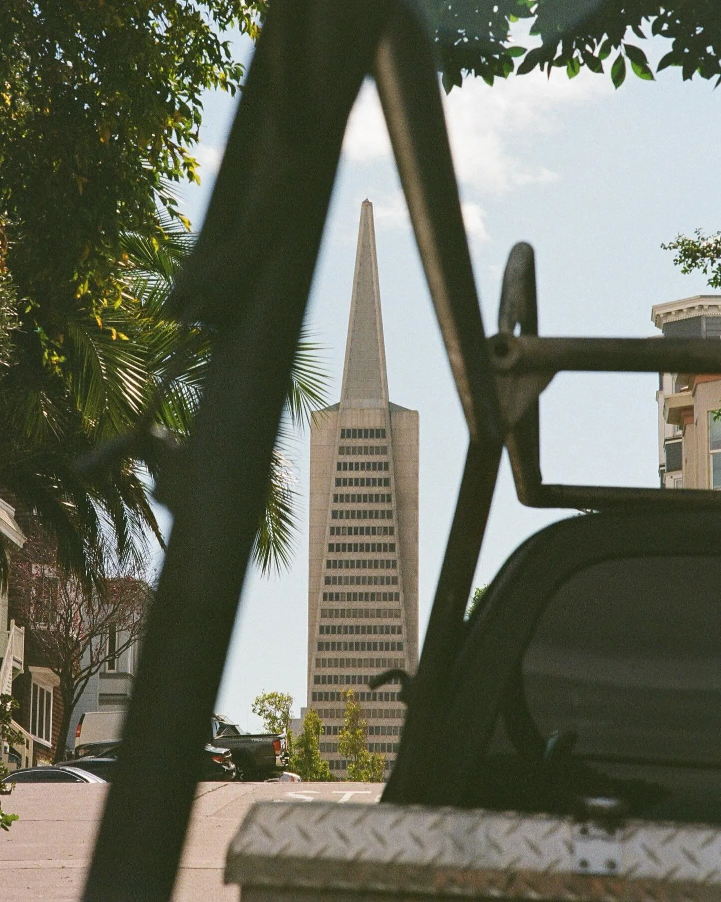 Glad to have one more reason to visit this wonderful city! All on 35mm.