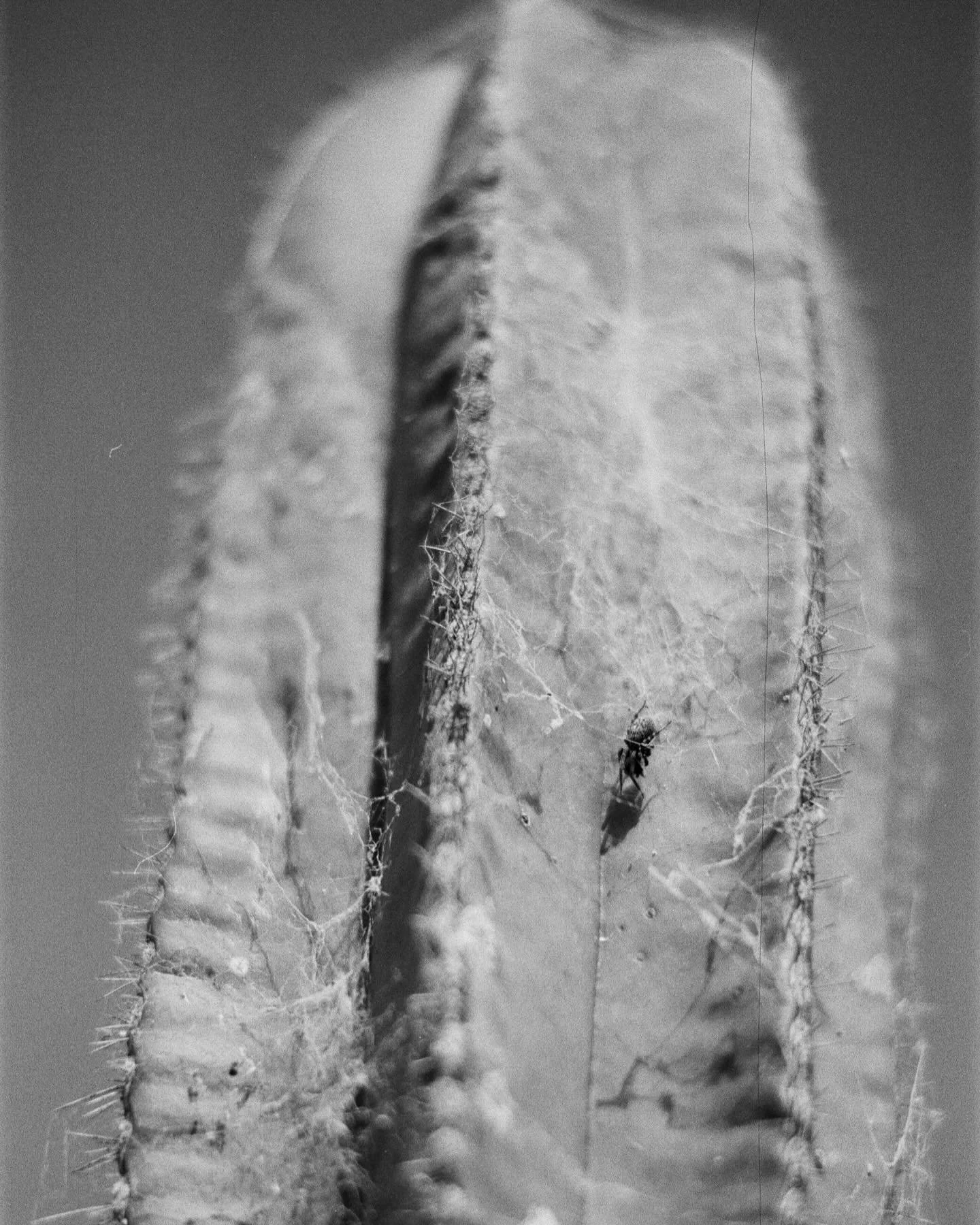 Some very spooky Halloween photos