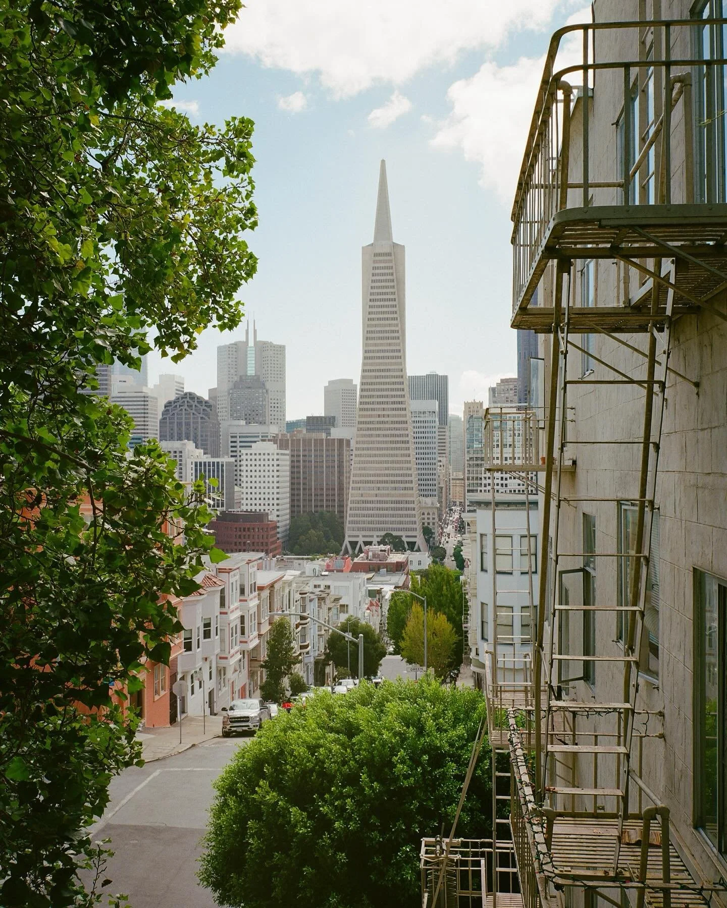 Medium format maximum vibes