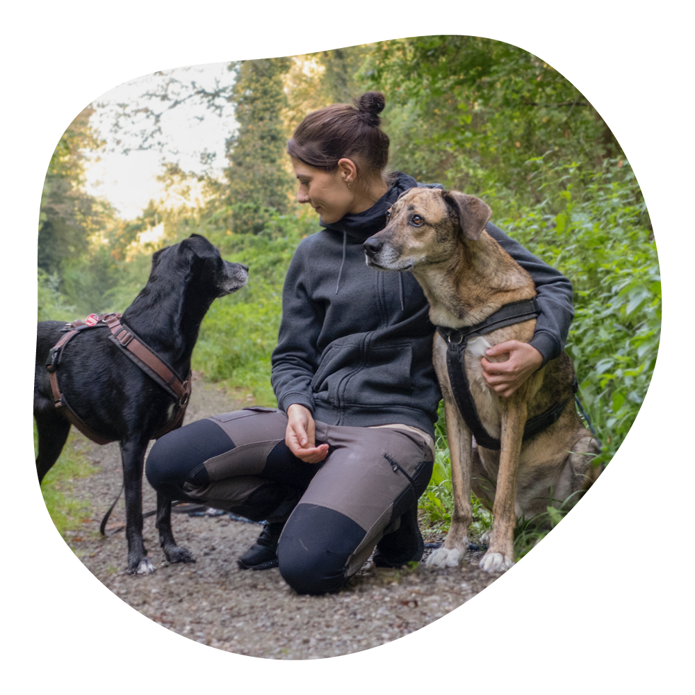 Frau mit zwei Hunden im Grünen, während eines Spaziergangs in einem Wald