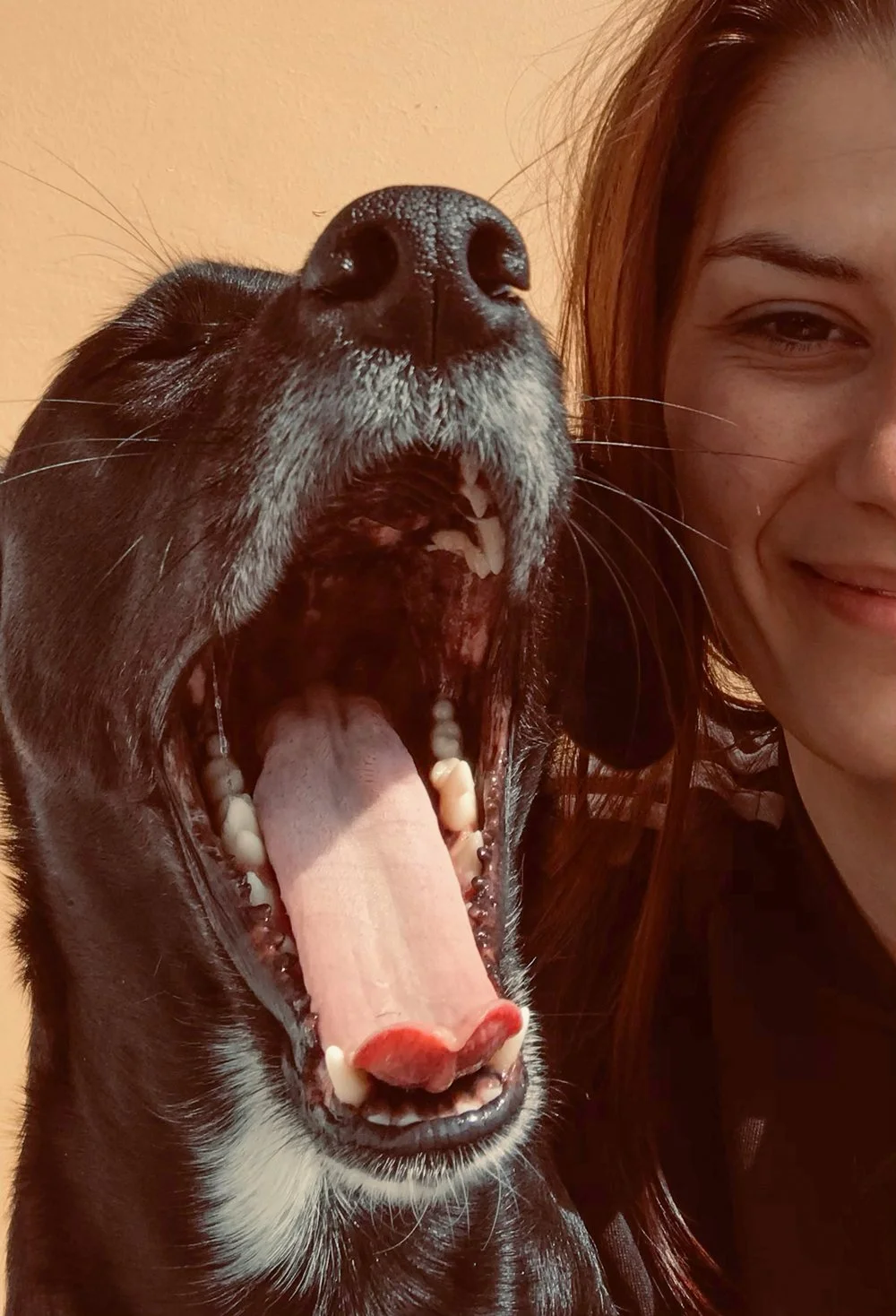 Ein Hund und eine Frau, der Hund hat den Mund offen und zeigt die Zunge, die Frau lächelt.