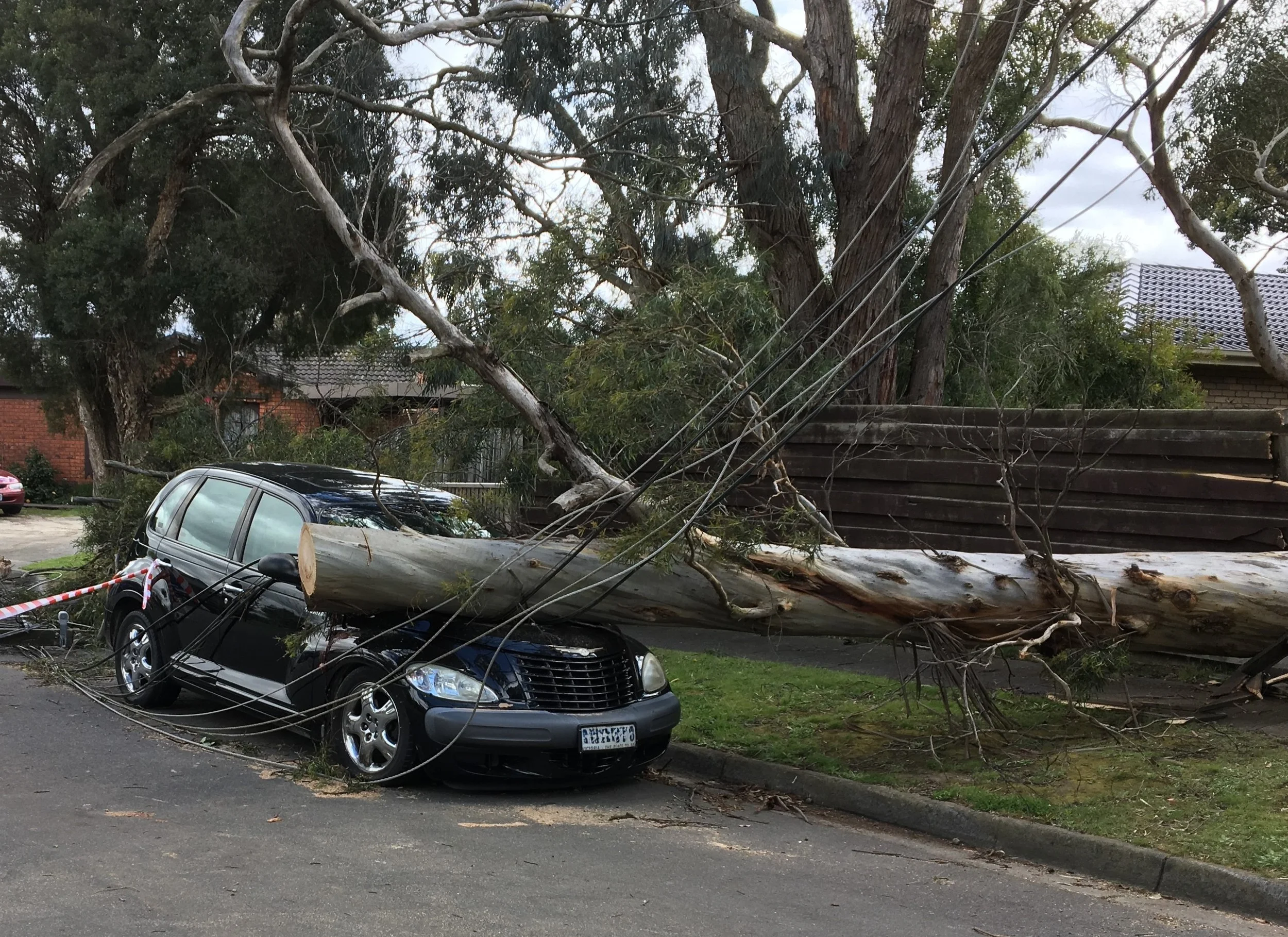 Car damaged by fallen tree and power lines on suburban street.