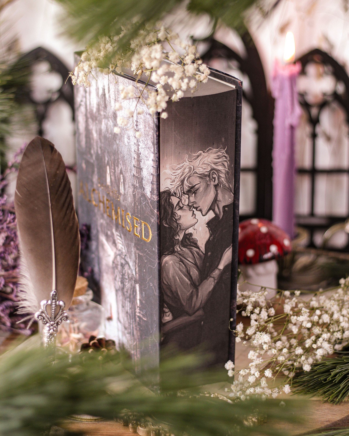 ⋆˖⁺‧☽ Hanna Bookpaintings ☾‧⁺˖⋆ 

I hate when this happens&hellip; but Alchemised ended up being a DNF for me at around 70%. 💔 Not because it was bad, but because it is so thick. Like really THICK. And by the end, I realised I couldn&rsquo;t even fu