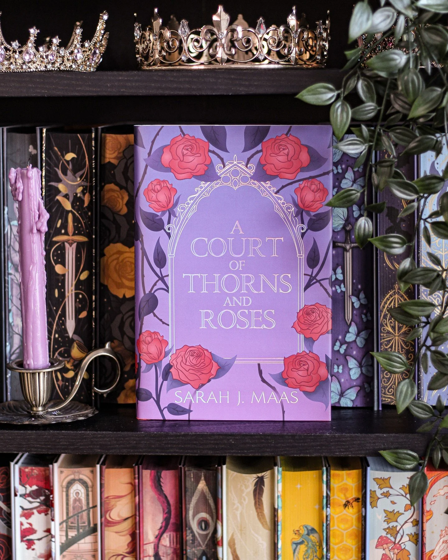 ⋆˖⁺‧☽ Sunday Shelfie ☾‧⁺˖⋆

This special edition of ACOTAR by @perfectlyedged feels like a love letter to one of the most iconic romantasy stories ever written 🤍

And this is your last chance to grab this stunning edition before the license runs out