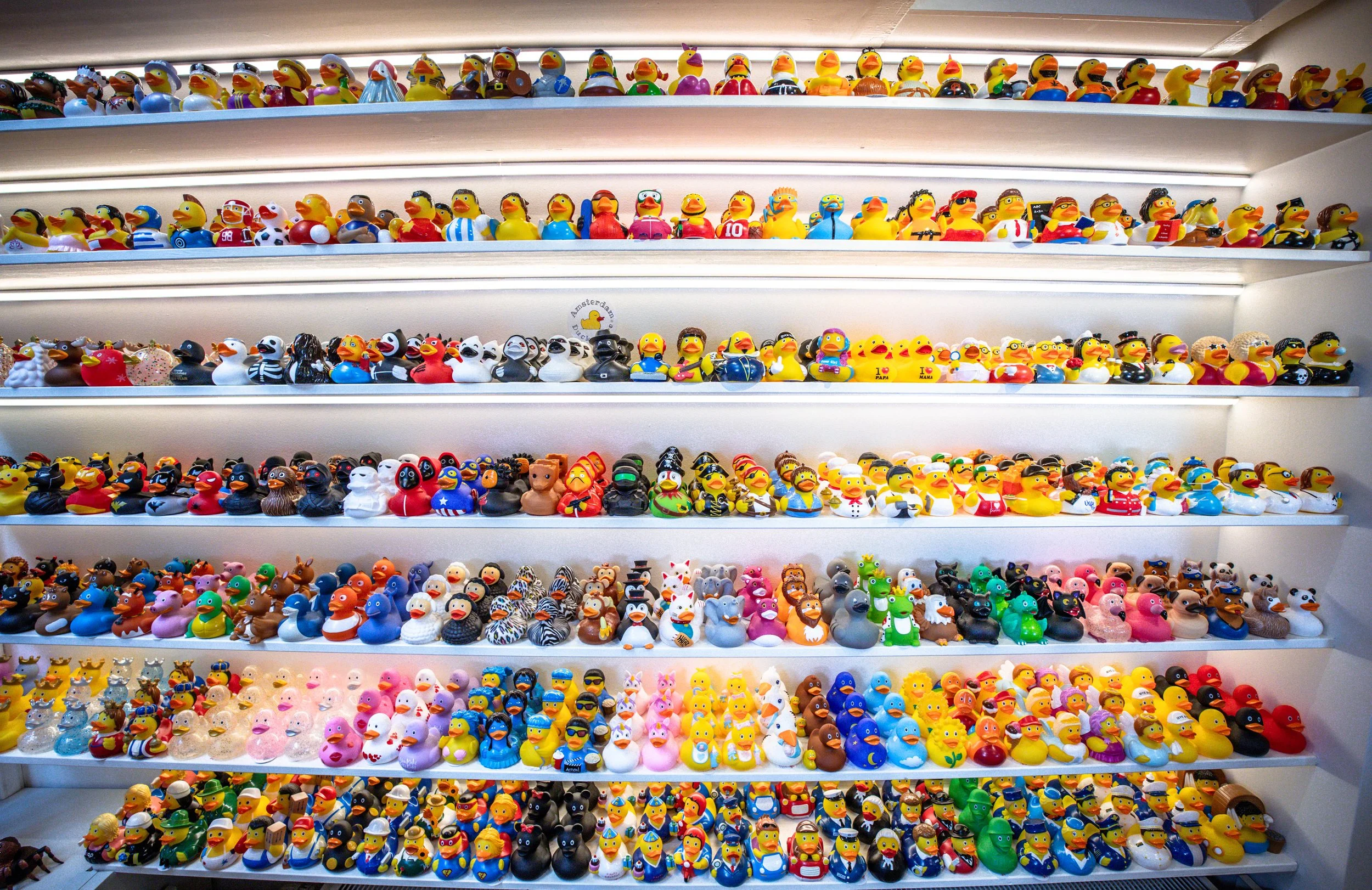 Amsterdam Duck Store