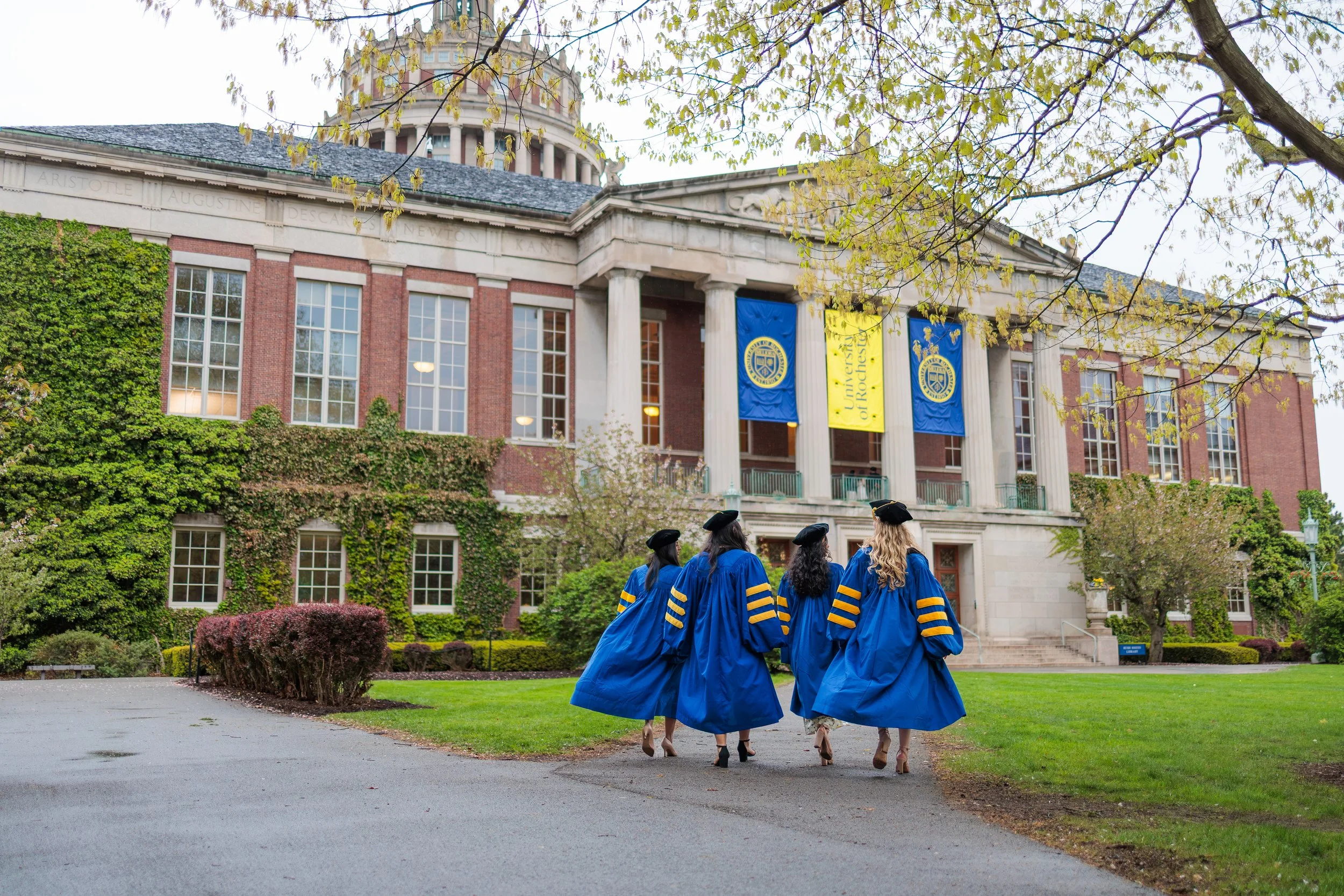 A group of people wearing blue graduation robes and caps walking on a path towards a university building with ivy-covered walls, large windows, and banners that read "University of Routhles".