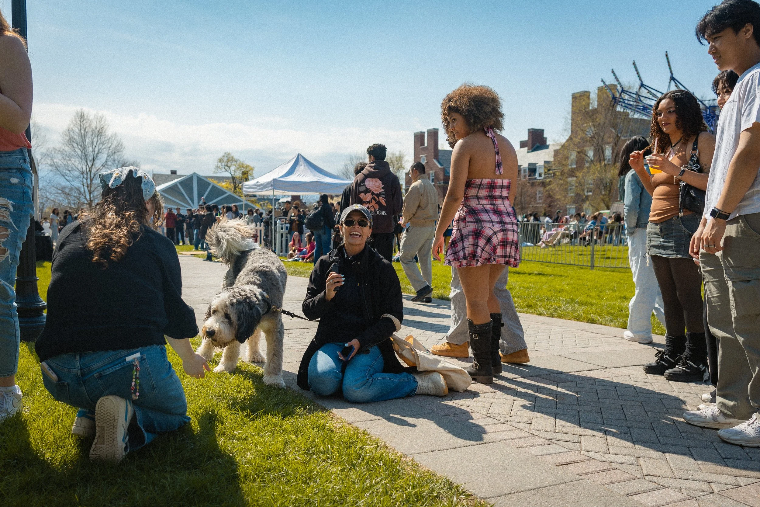 People gathered outdoors, socializing and enjoying a sunny day. A woman is sitting on the grass with a dog, and others are standing or walking on a paved pathway. There are tents and trees in the background.