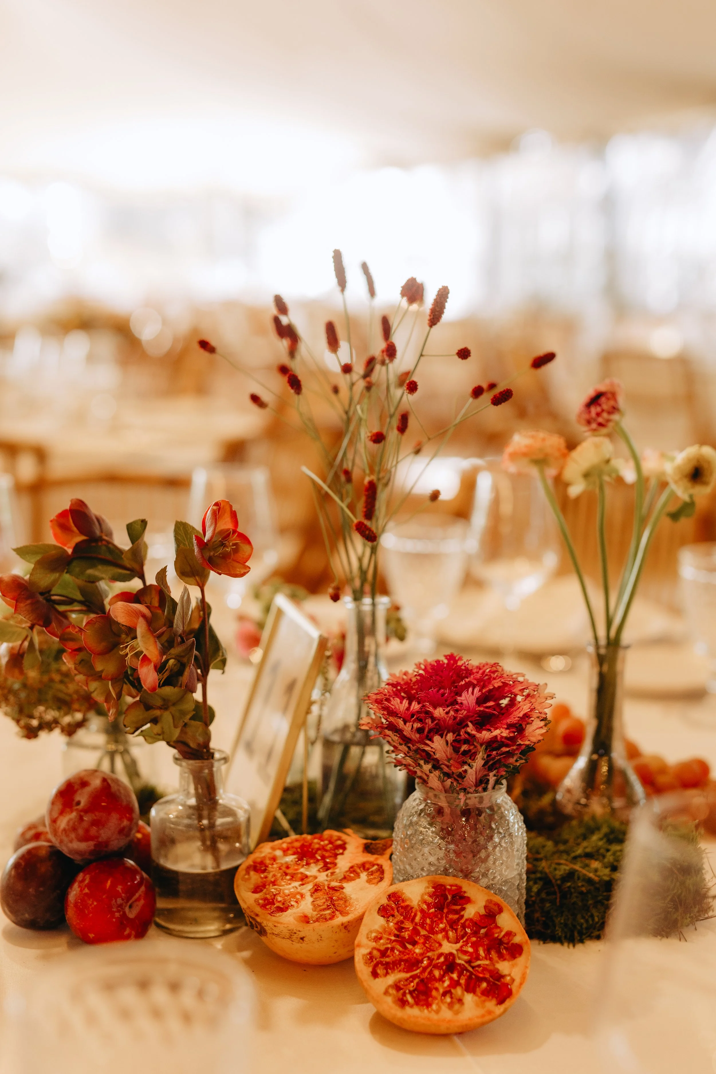 NAVARRETE FOTOGRAFIA-61.jpg