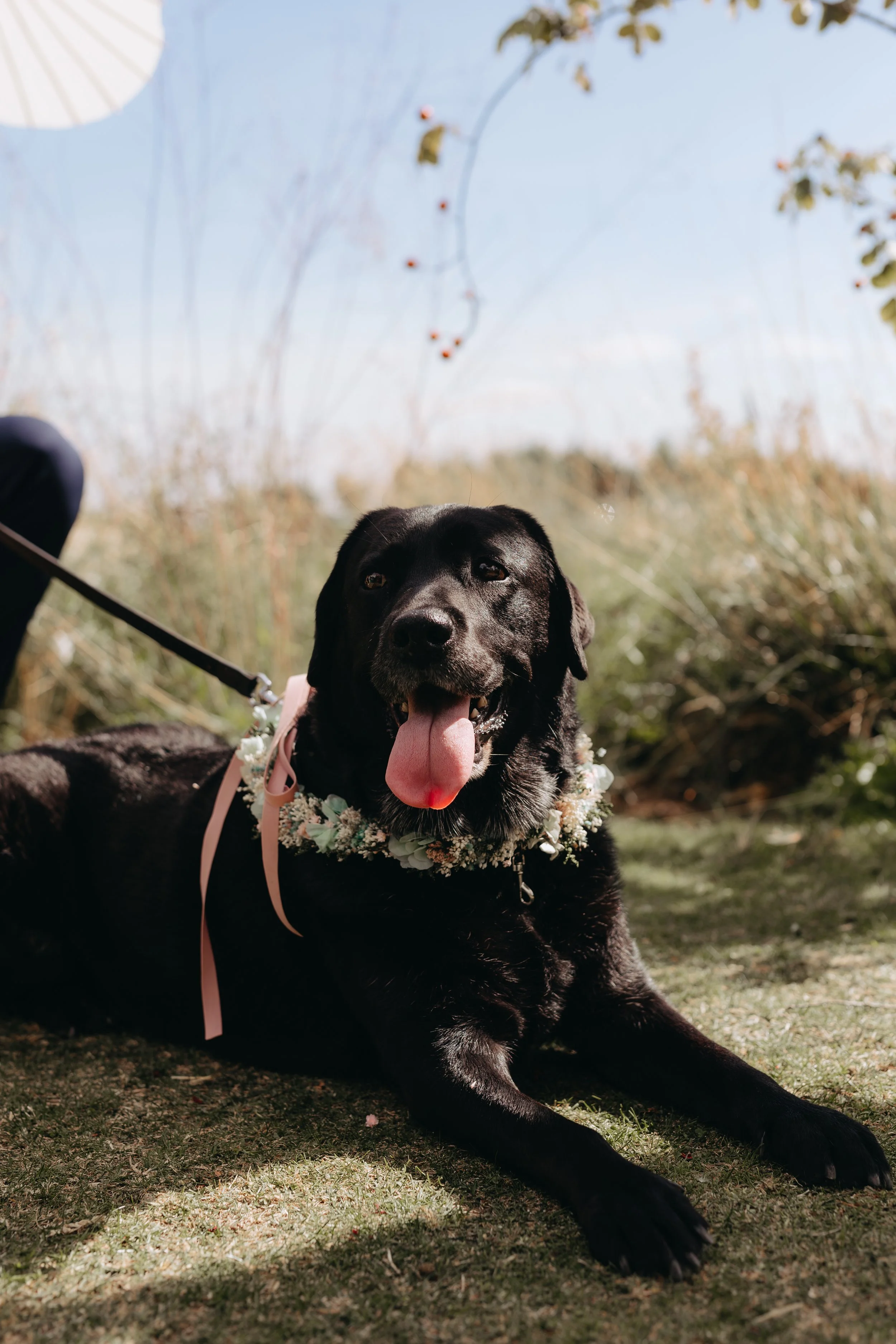 NAVARRETE FOTOGRAFIA-FOTOGRAFO SOCIAL- -FOTOGRAFIA DE FAMILIA.FOTOGRAFO DE BODAS- RAKI & DANI-495.jpg