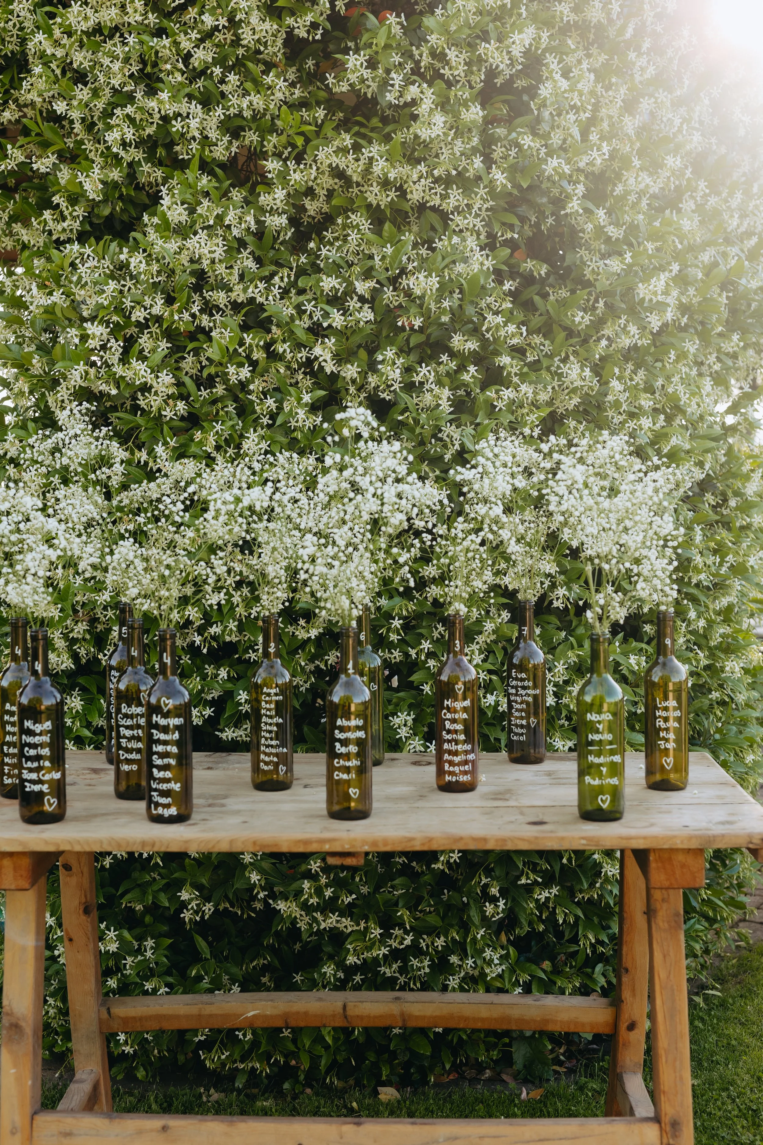 NAVARRETE FOTOGRAFIA-FOTOGRAFO  SOCIAL-ALBA Y JULIO -555.jpg