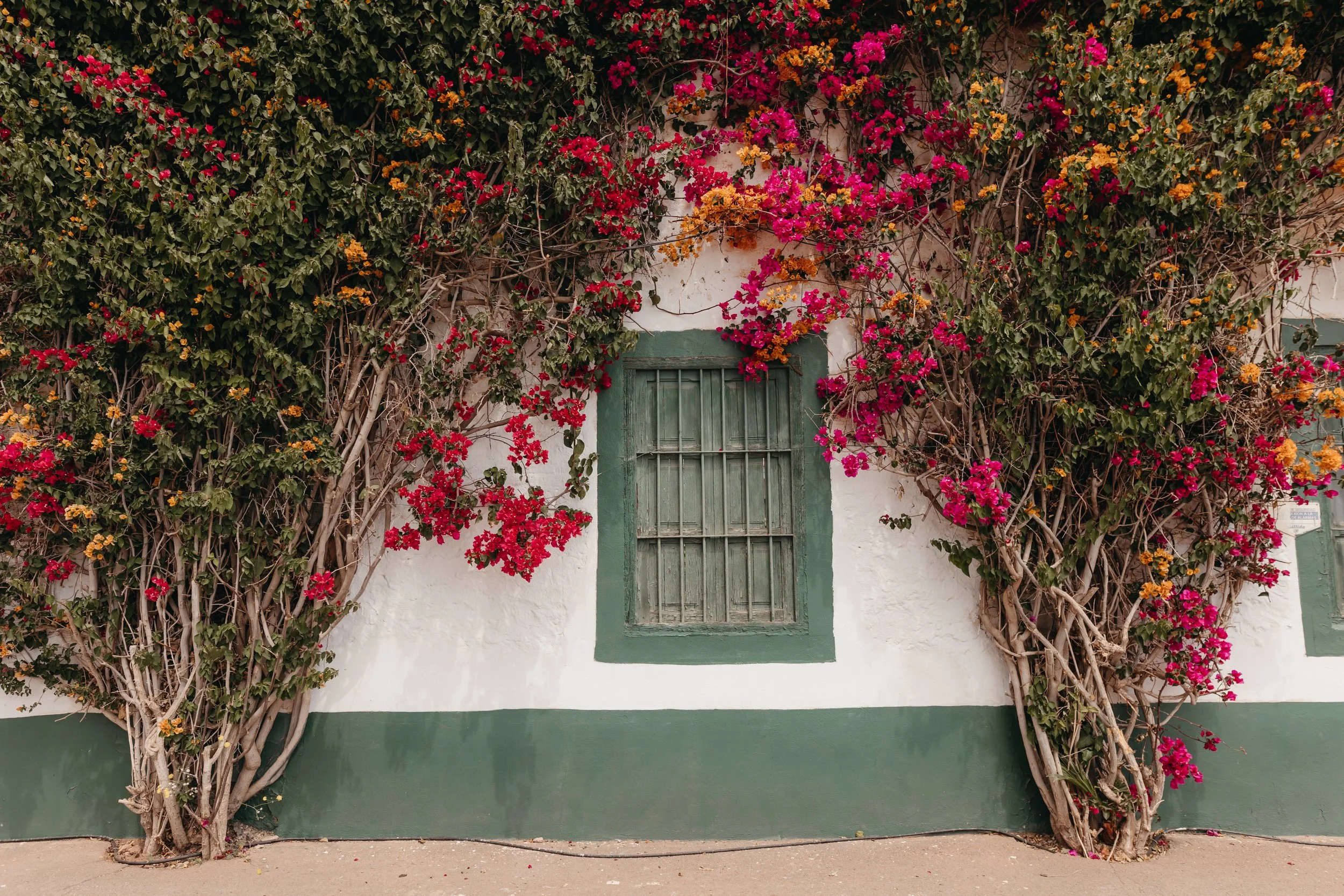 NAVARRETE FOTOGRAFIA-FOTOGRAFO SOCIAL-BODA MIRIAM Y ANDRES -463.jpg
