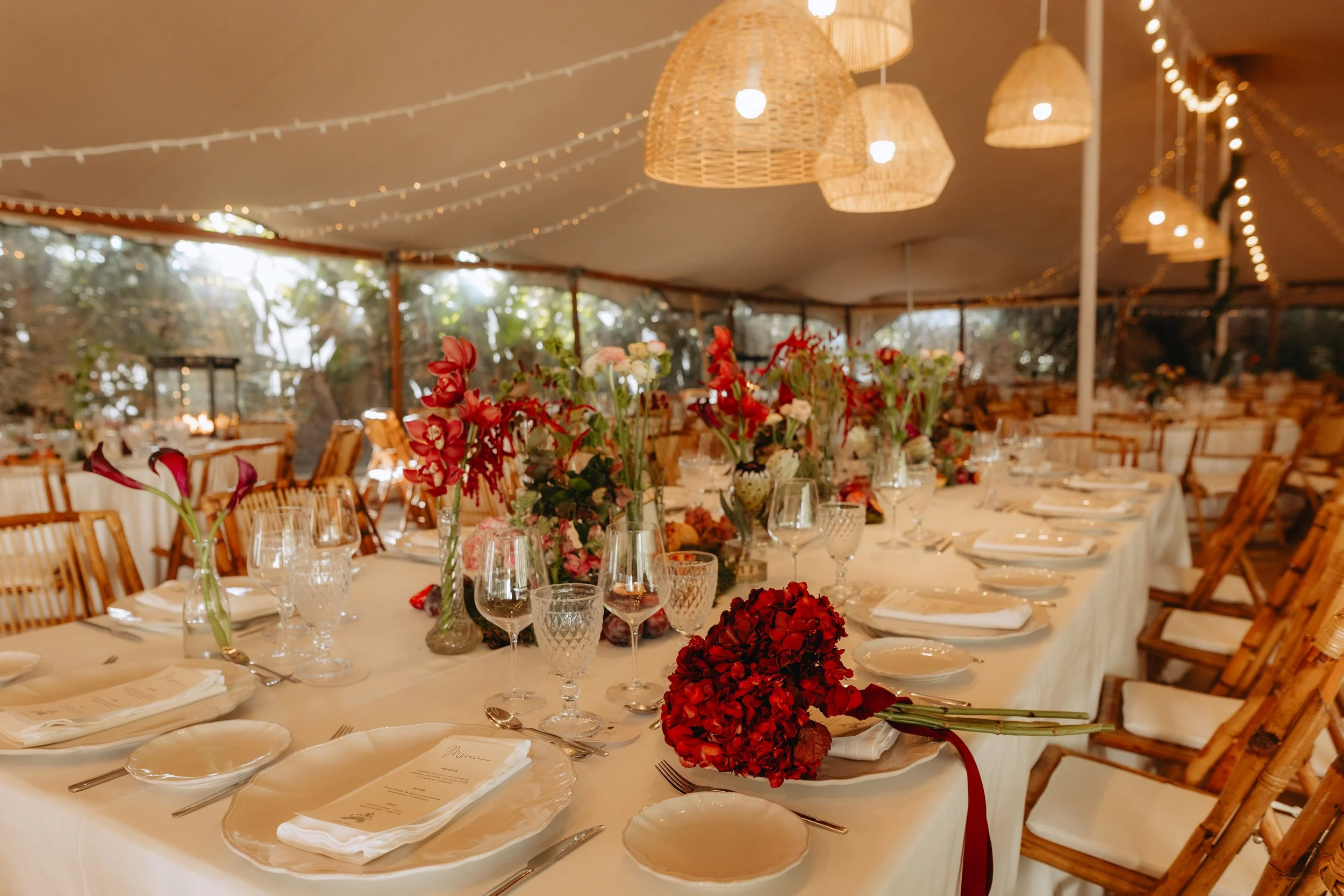 NAVARRETE FOTOGRAFIA-66.jpg