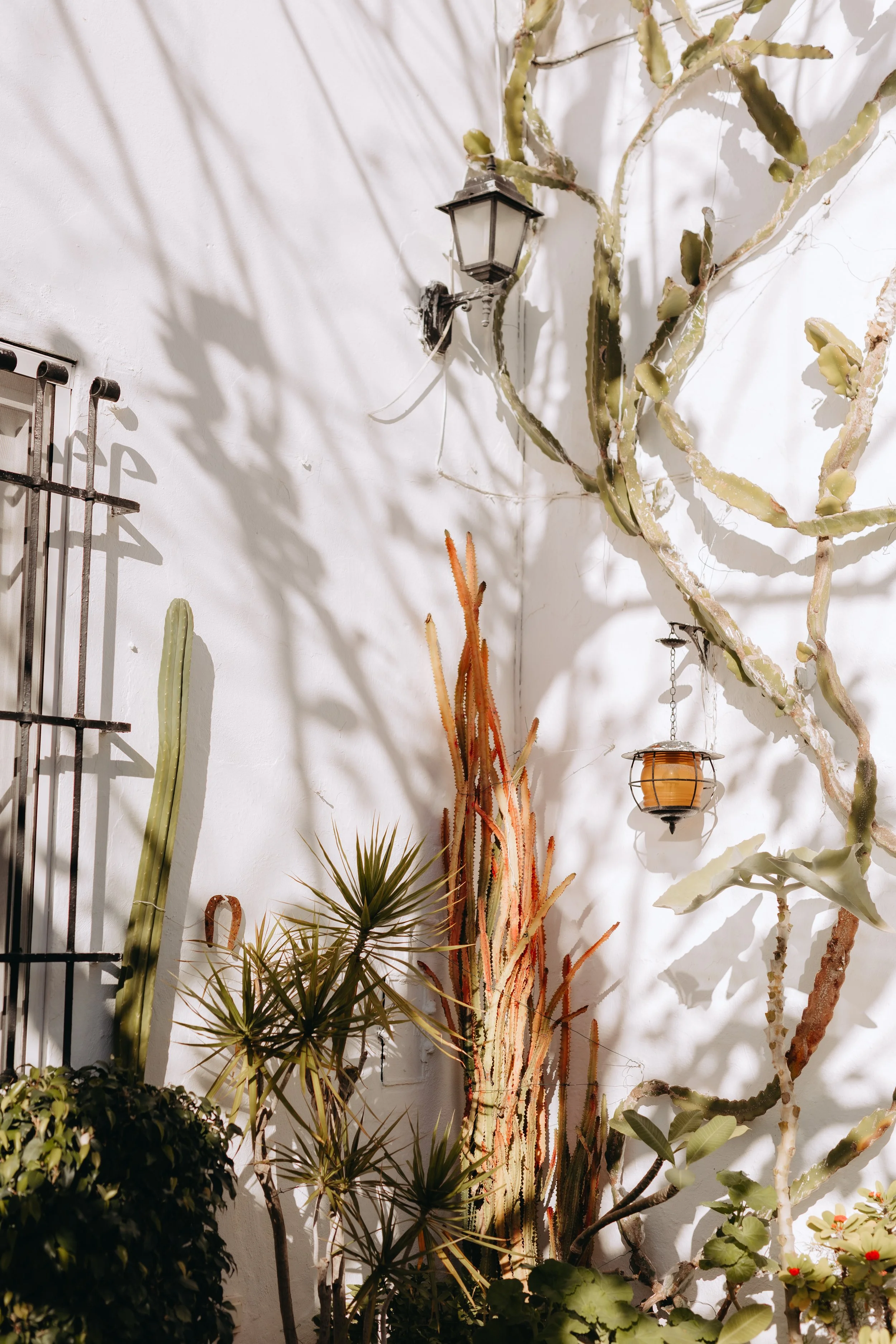 NAVARRETE FOTOGRAFIA-1.jpg